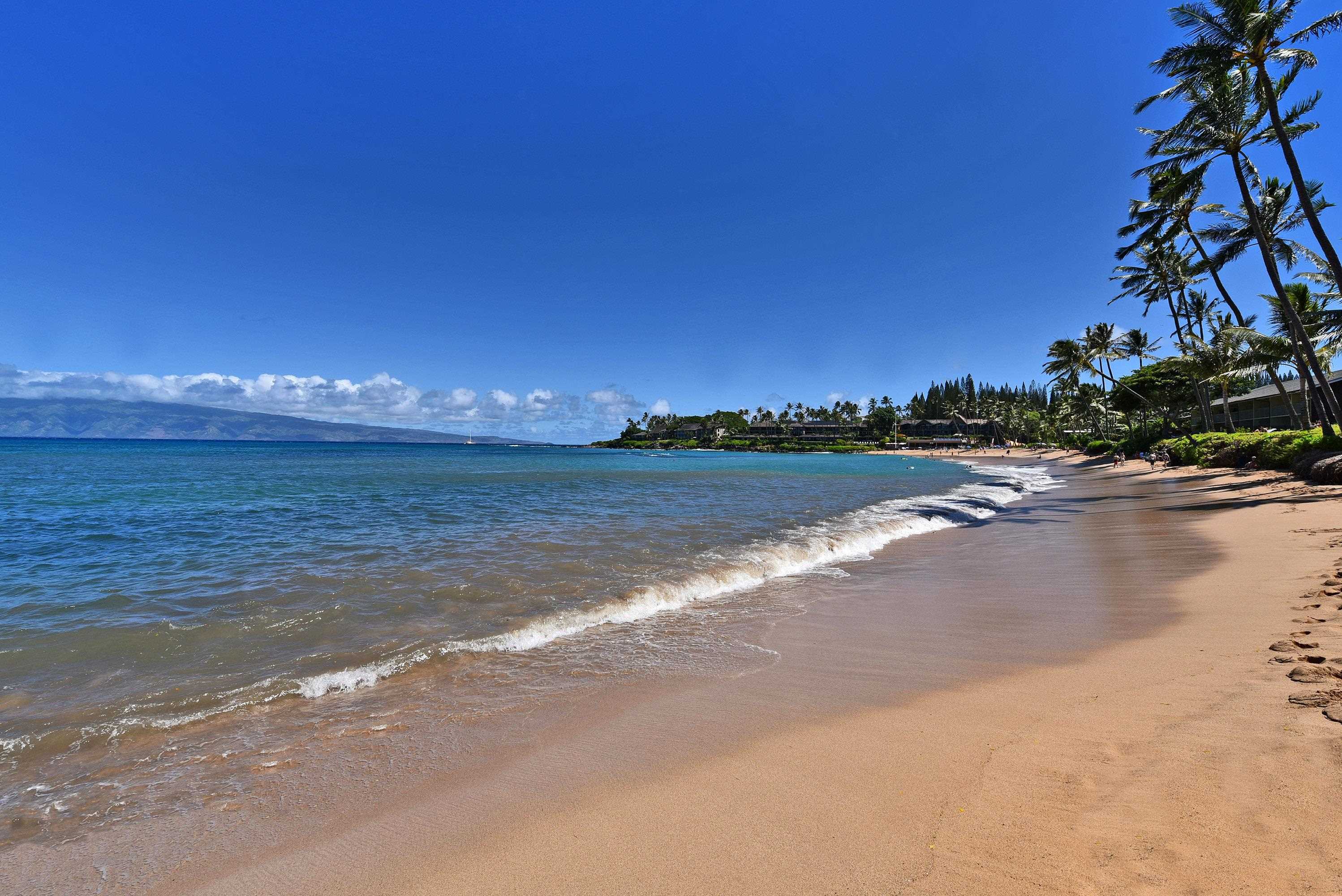 5315 Lower Honoapiilani Rd C215