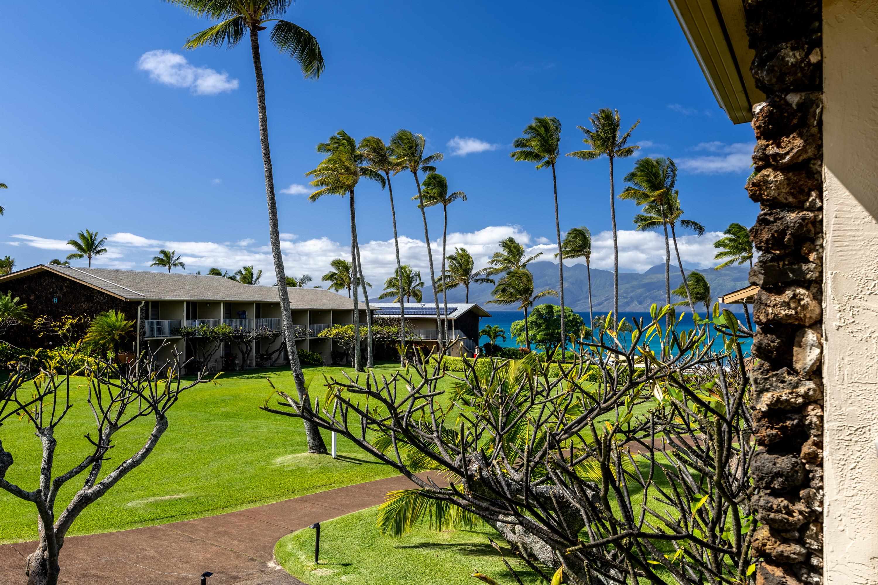 5315 Lower Honoapiilani Rd C215