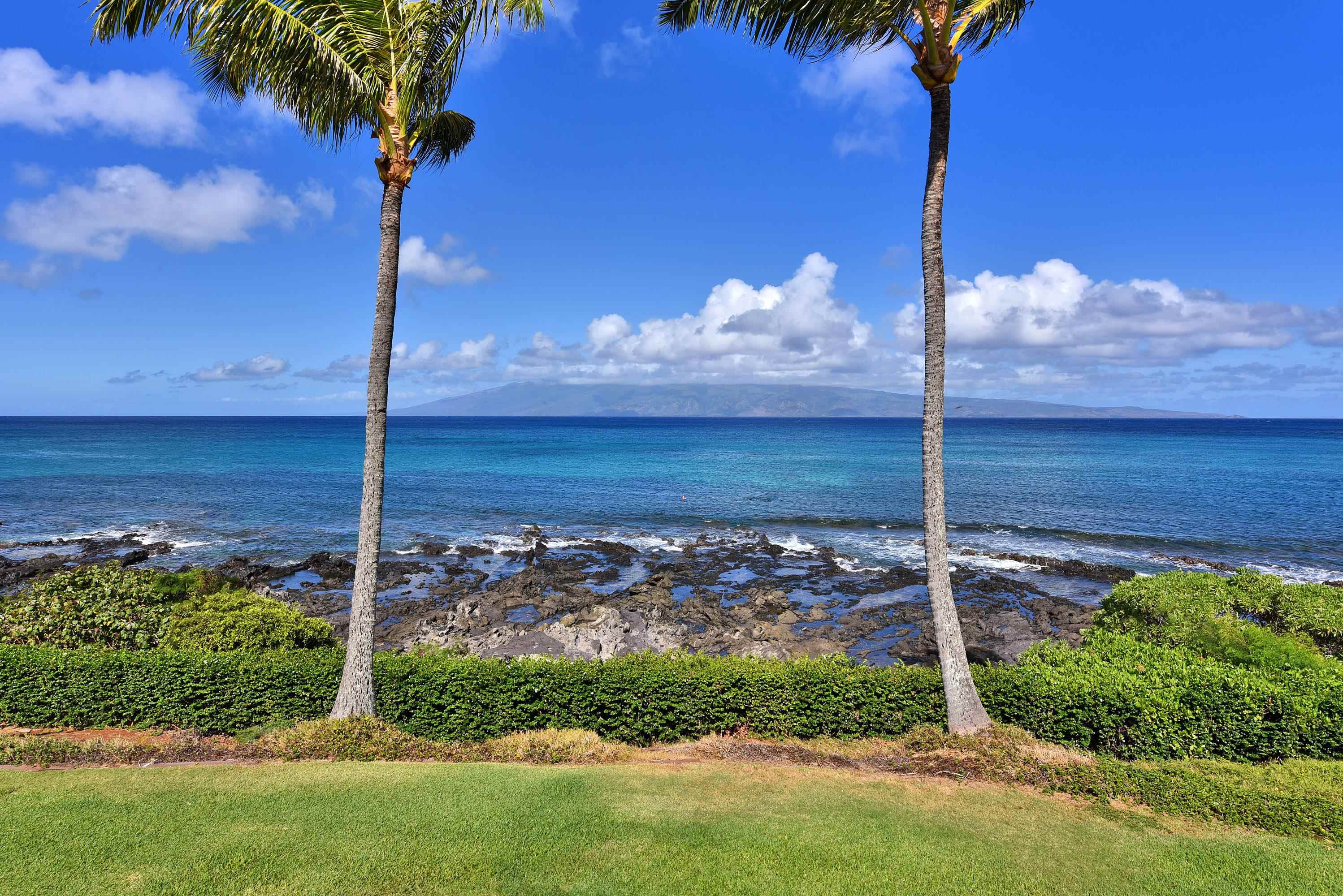 5315 Lower Honoapiilani Rd C215