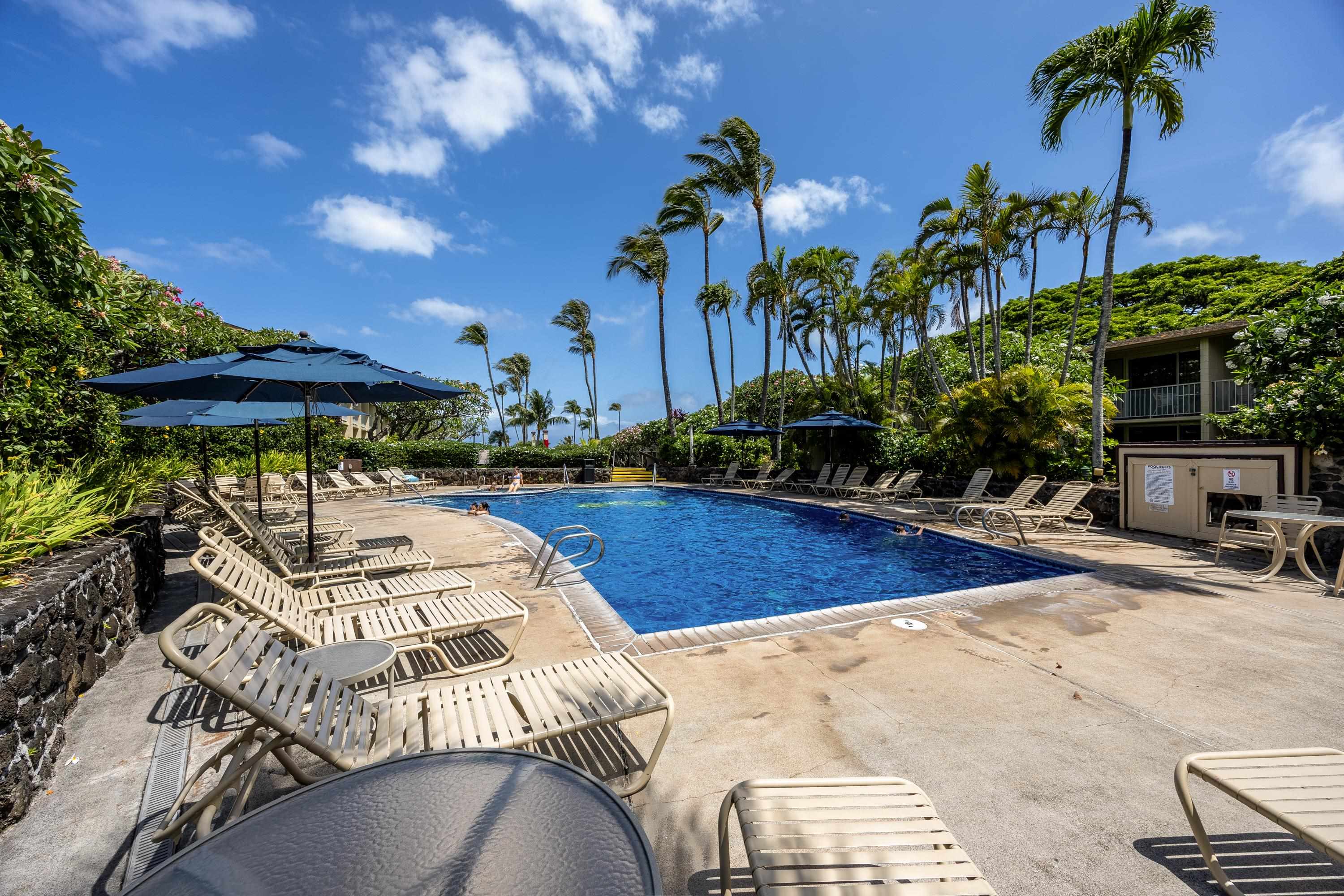 5315 Lower Honoapiilani Rd C215