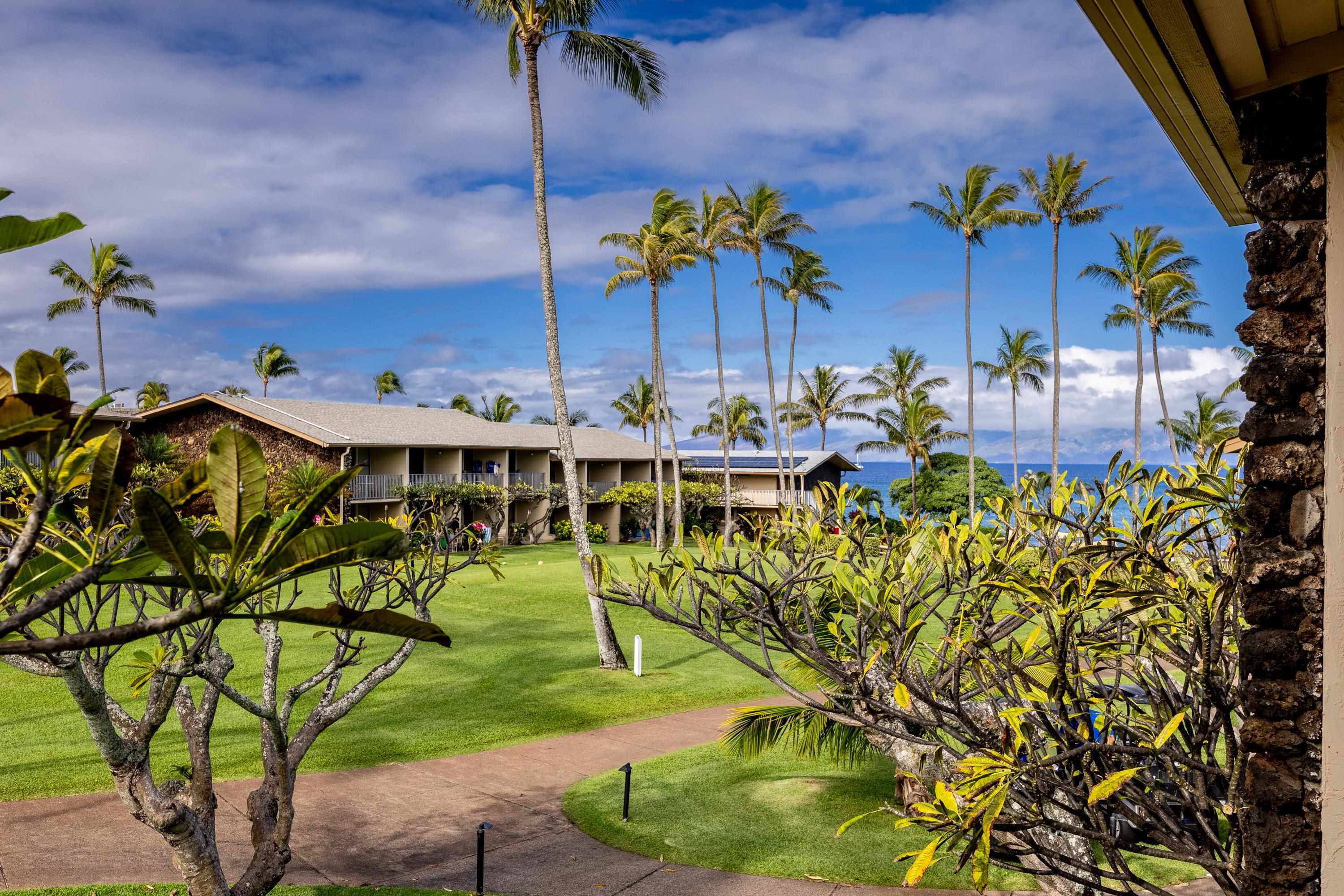 5315 Lower Honoapiilani Rd C215