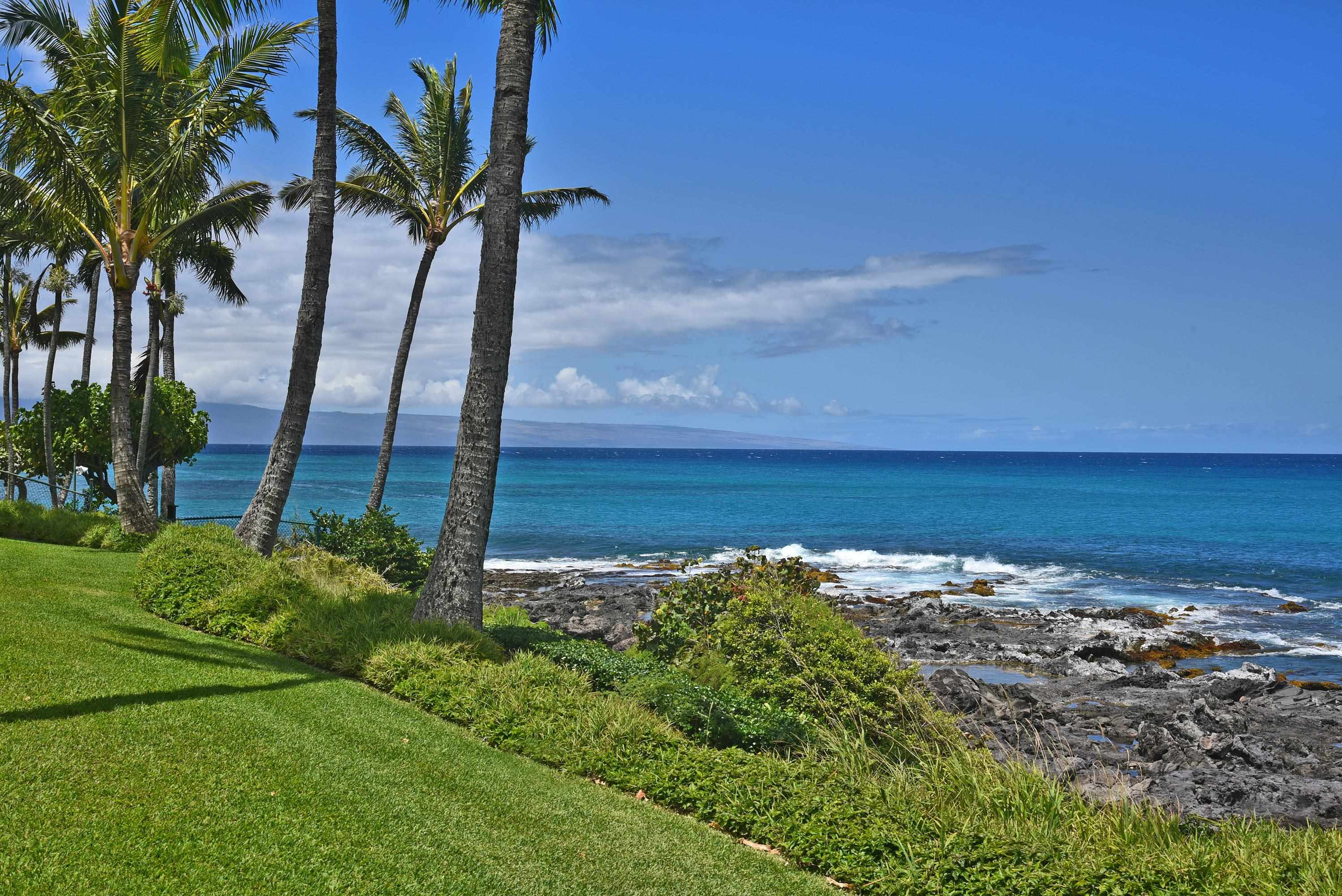 5315 Lower Honoapiilani Rd C215