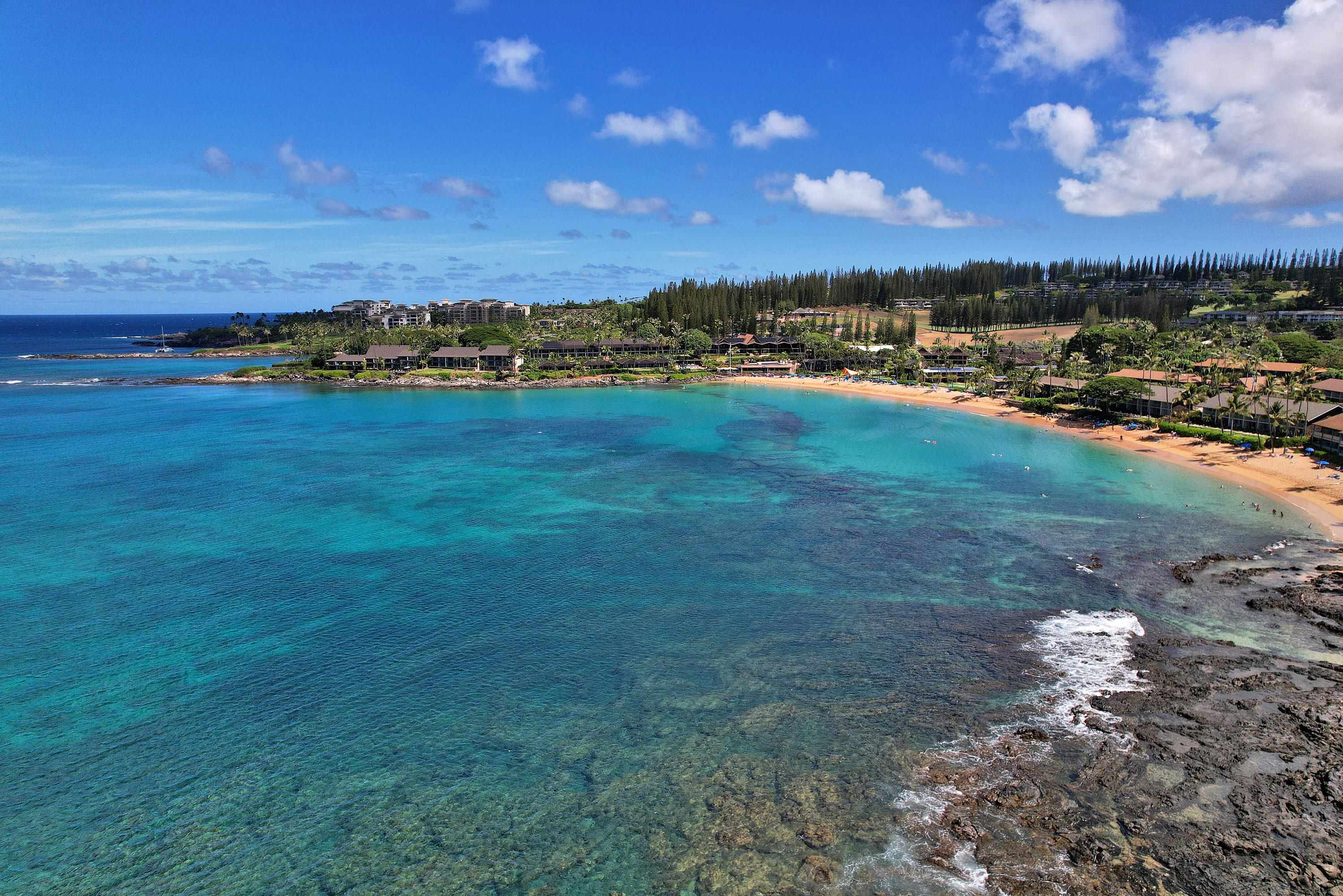 5315 Lower Honoapiilani Rd C215