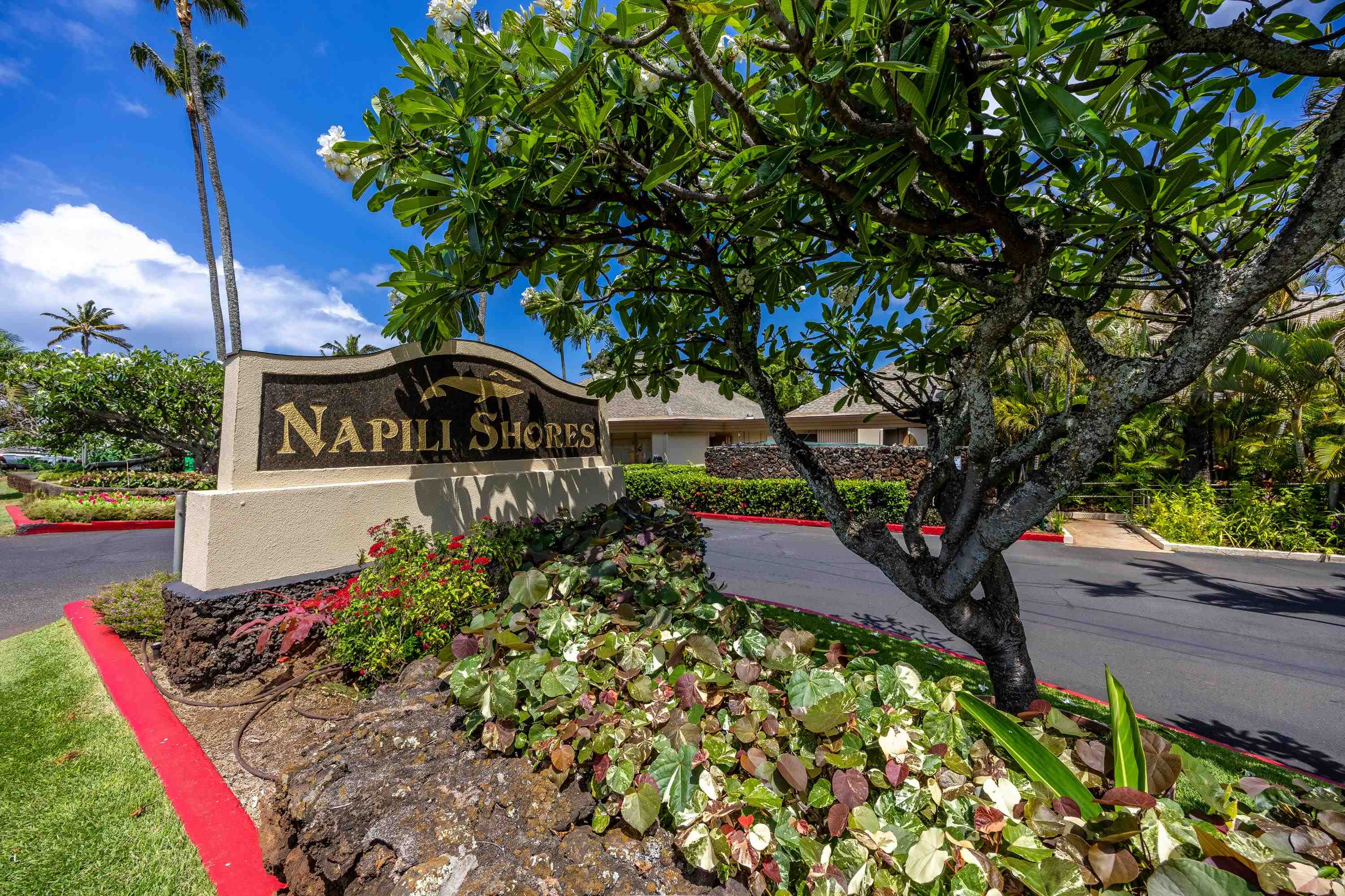 5315 Lower Honoapiilani Rd C215