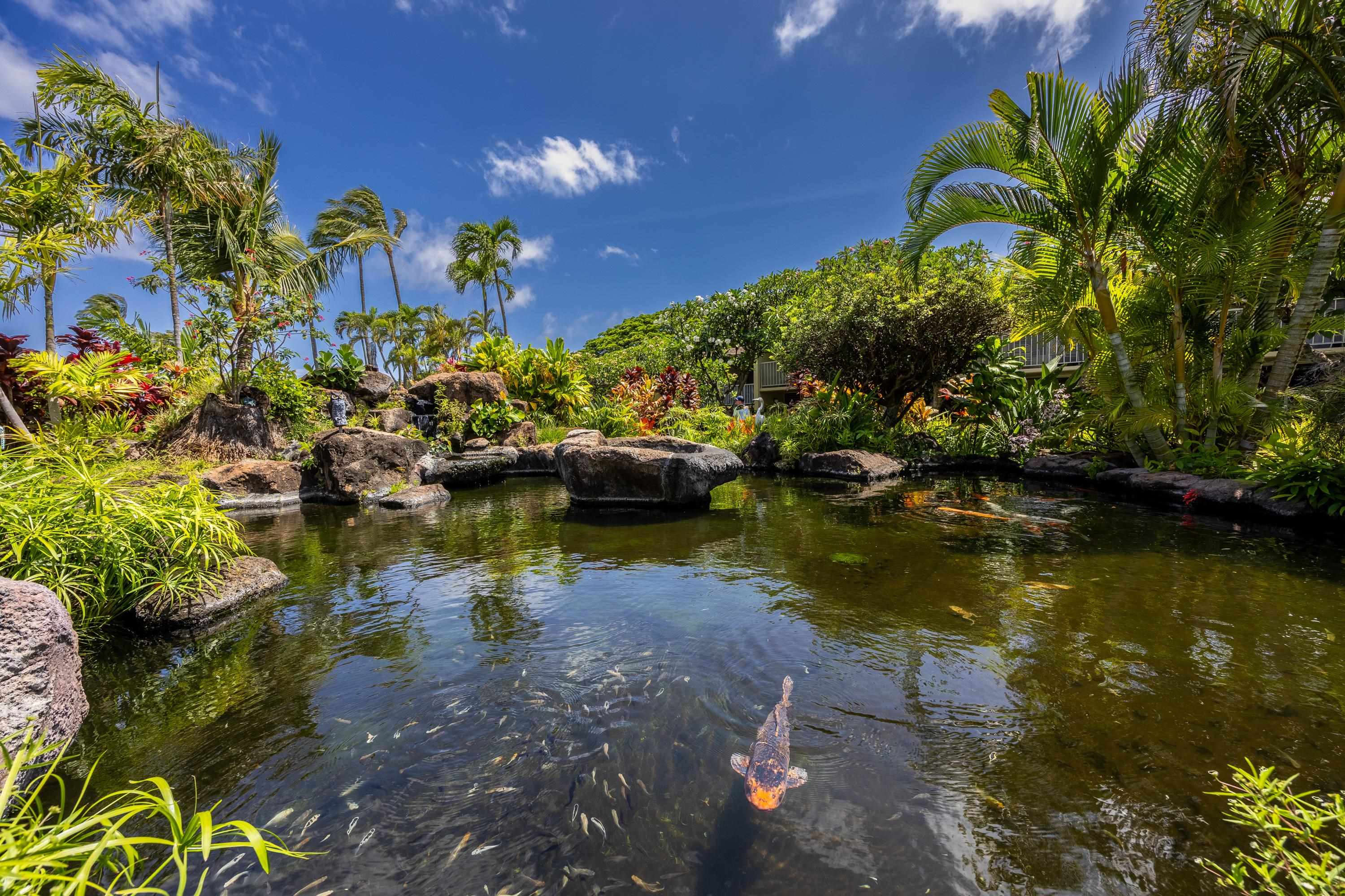5315 Lower Honoapiilani Rd C215