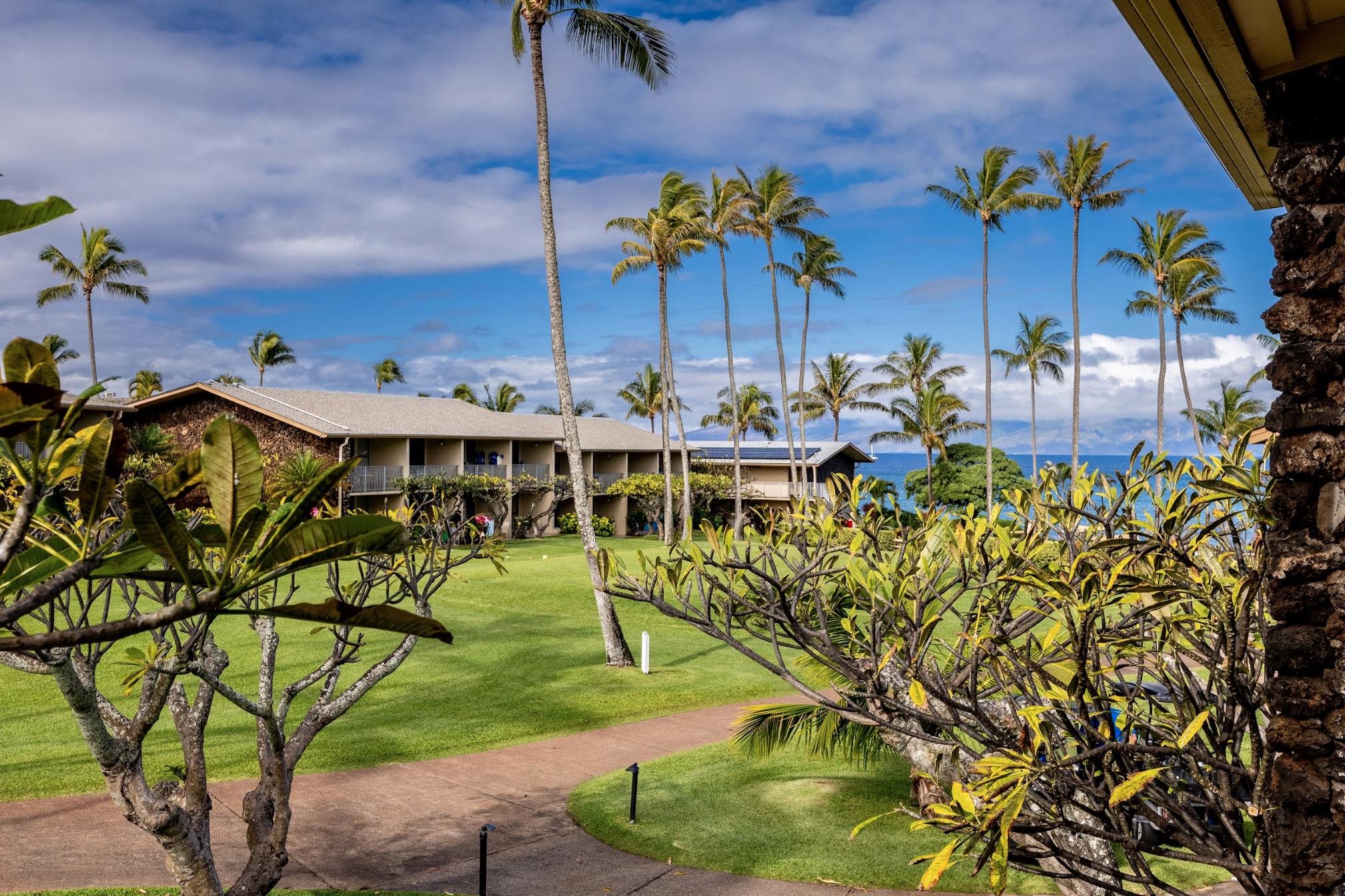 5315 Lower Honoapiilani Rd C215
