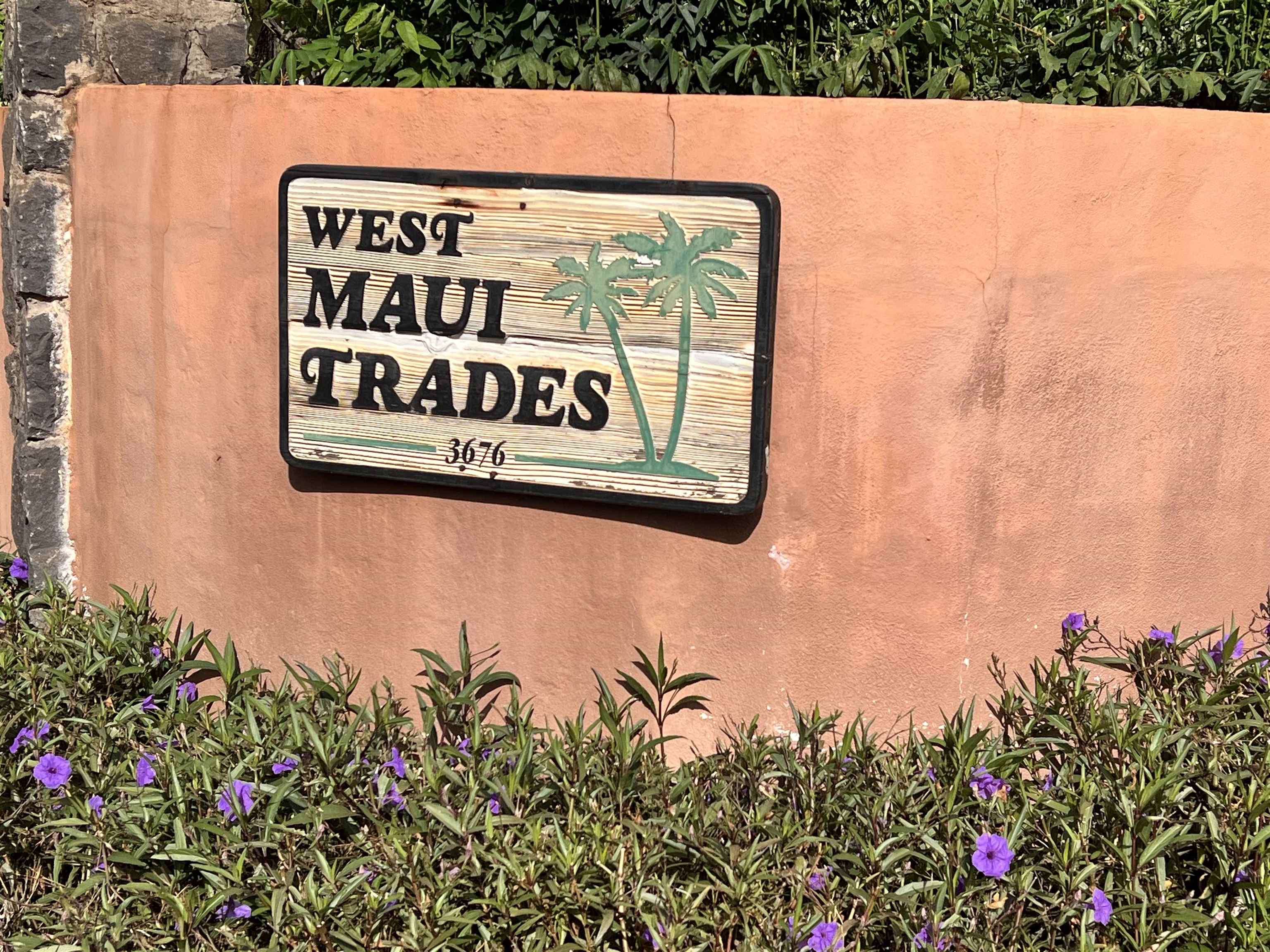 3676 Lower Honoapiilani Rd D301