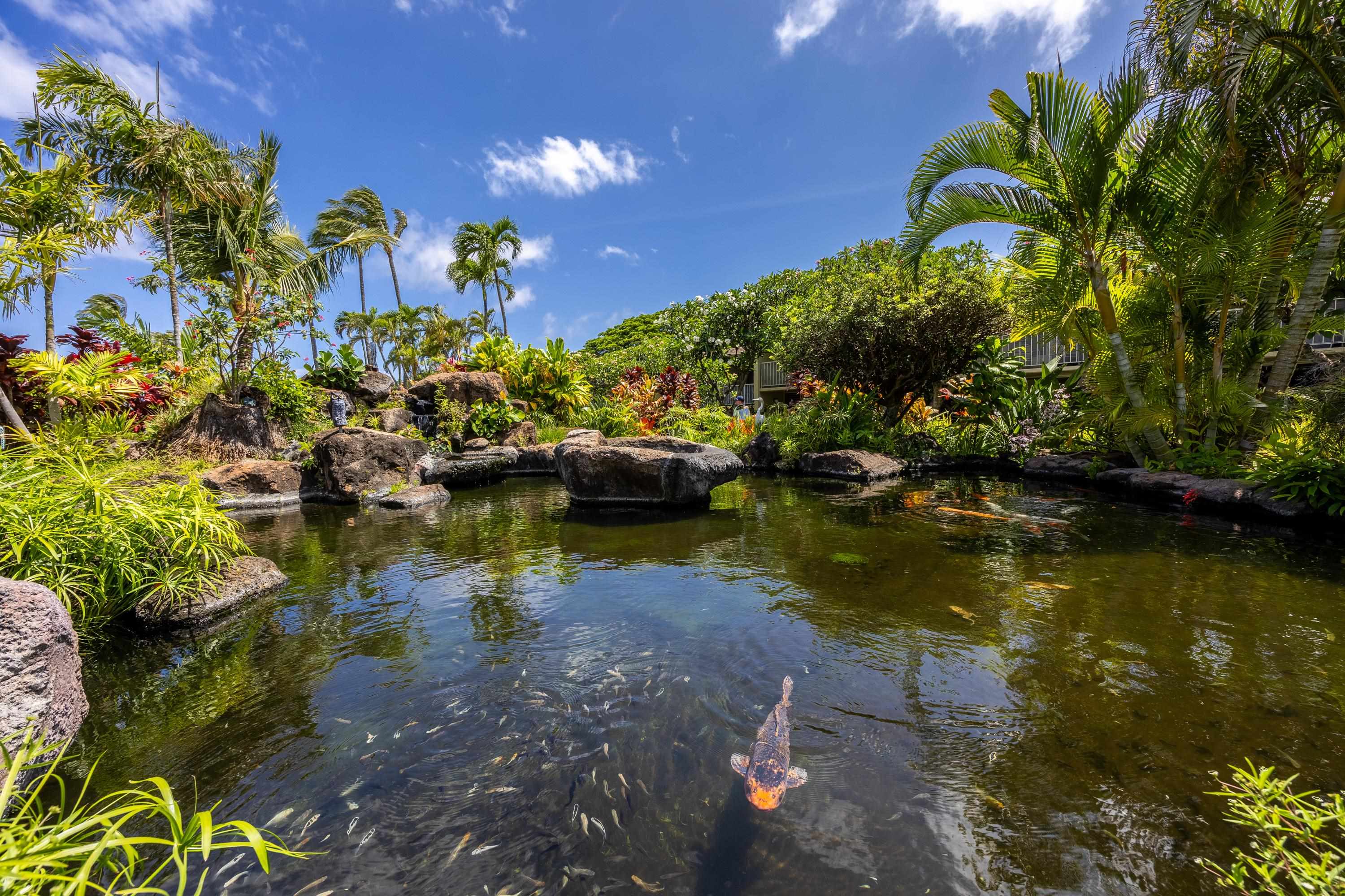 5315 Lower Honoapiilani Rd G258