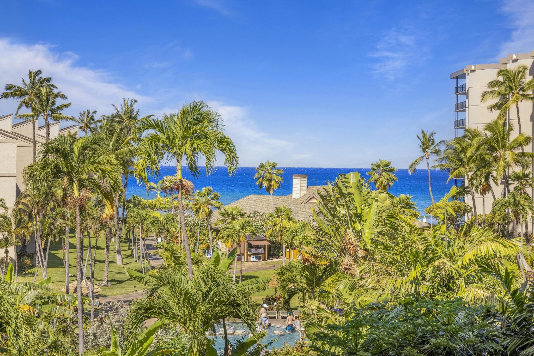 This Week's Maui Open Houses