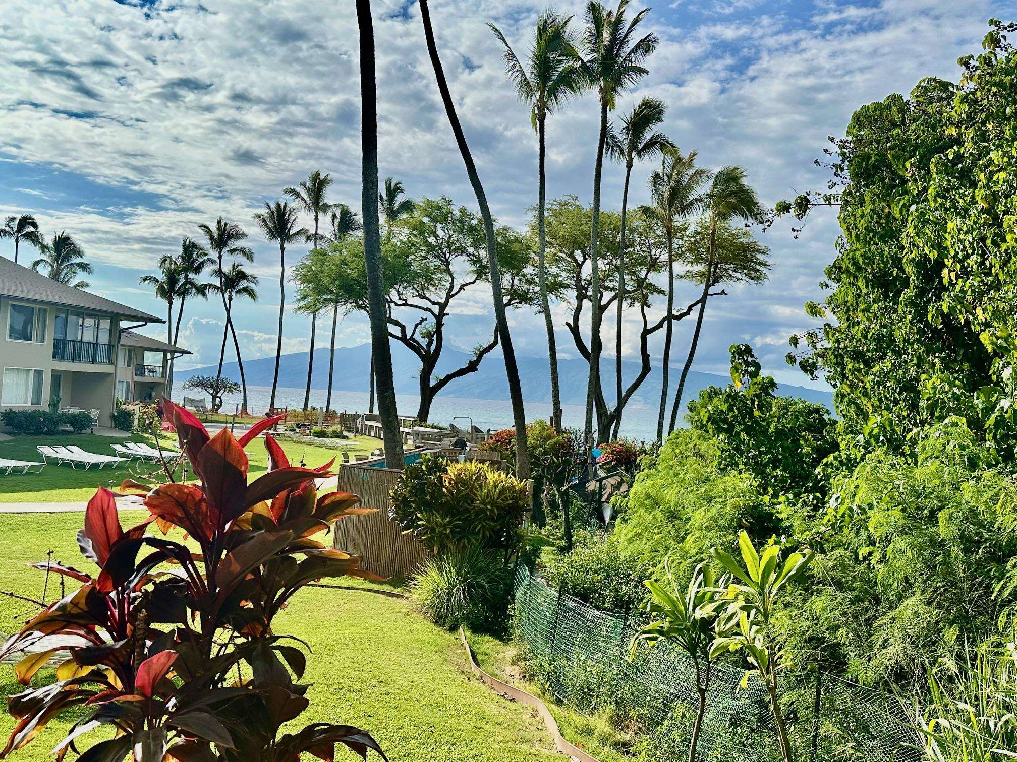 50 Napili Pl 119