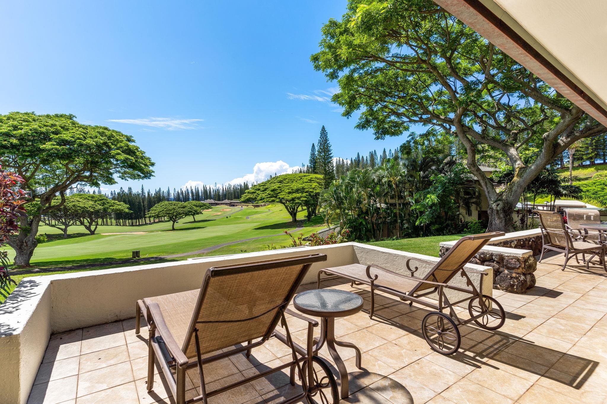View from the Lanai