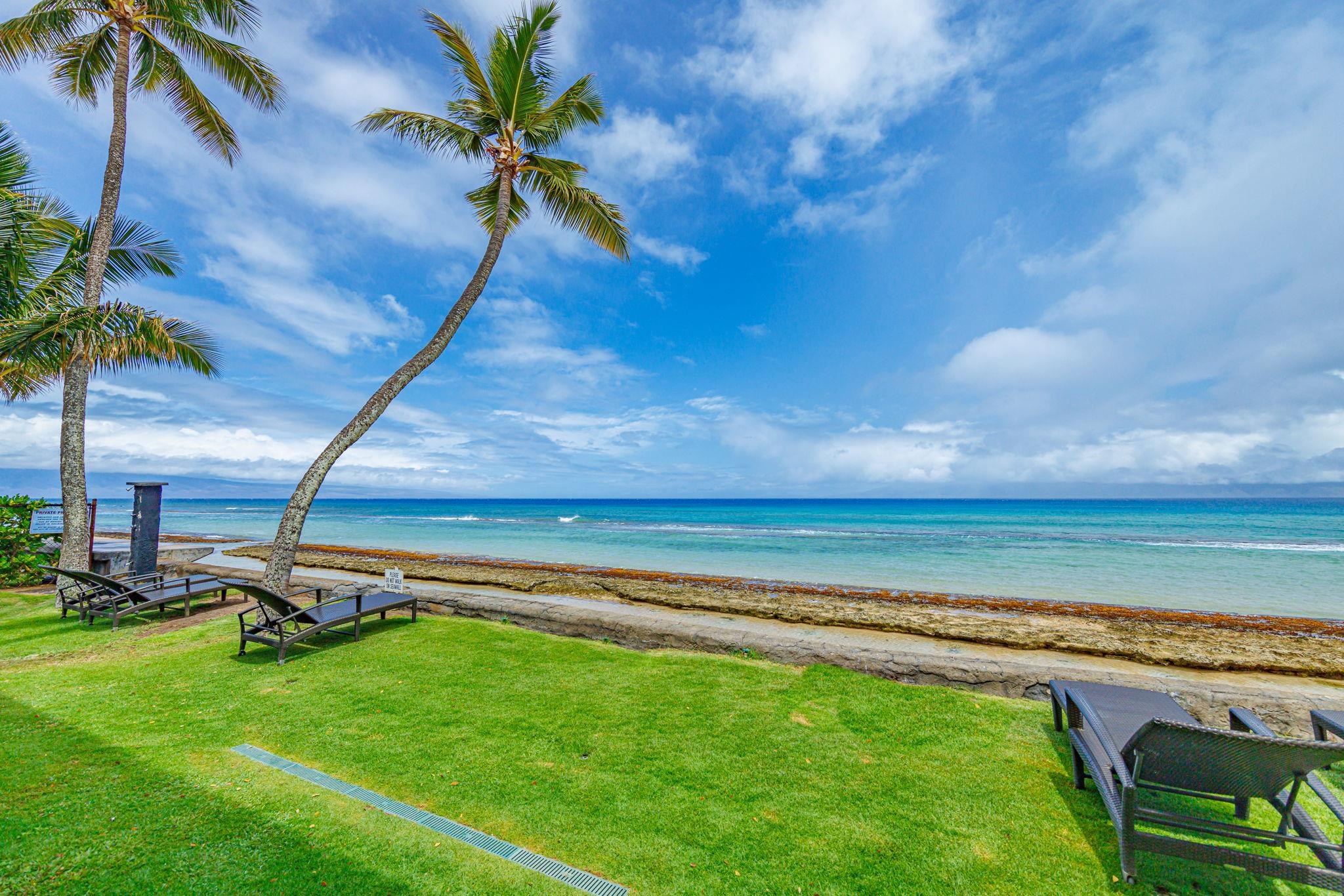 3559 Lower Honoapiilani Rd 720