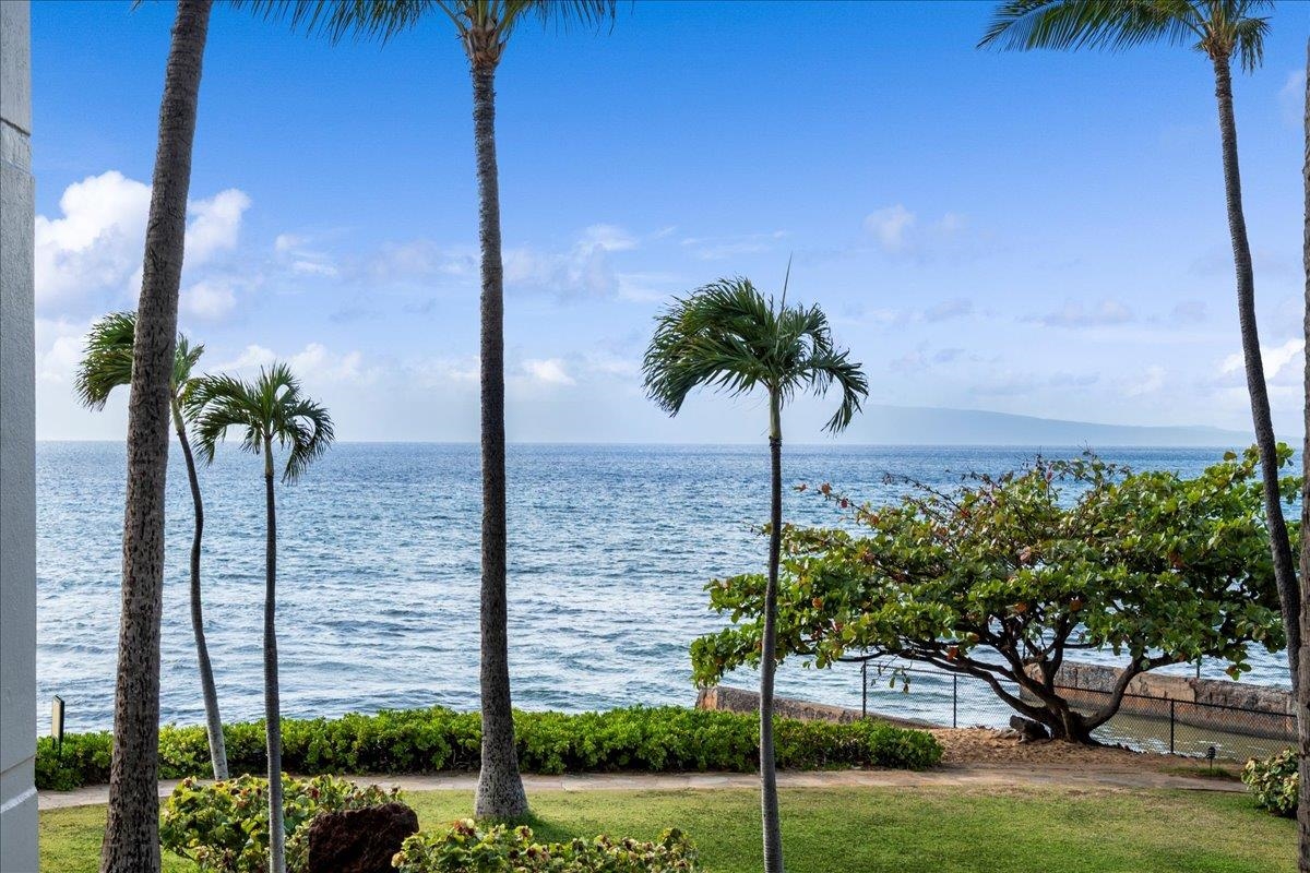 3445 Lower Honoapiilani Rd 204