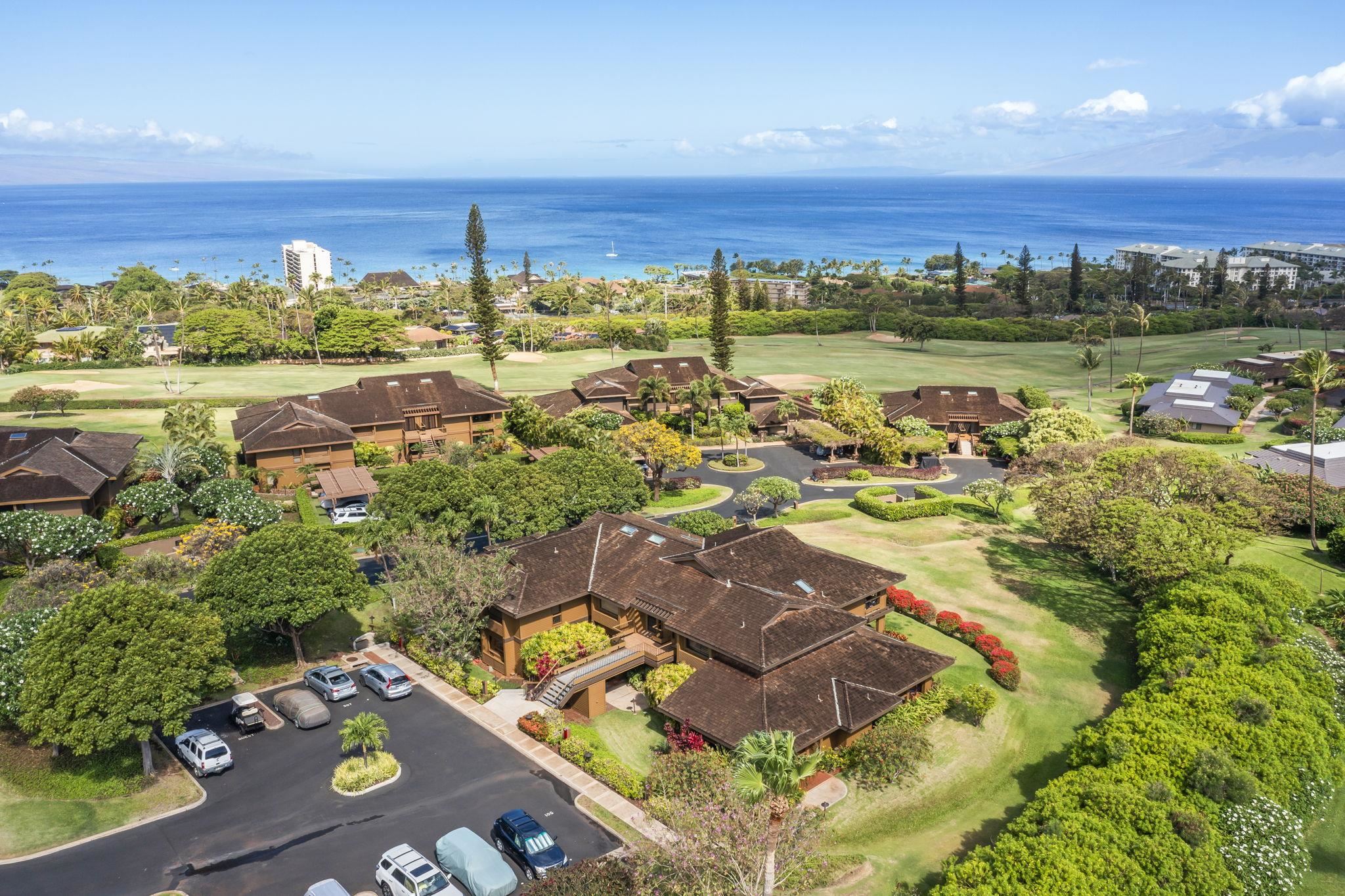 50 Puu Anoano St 503