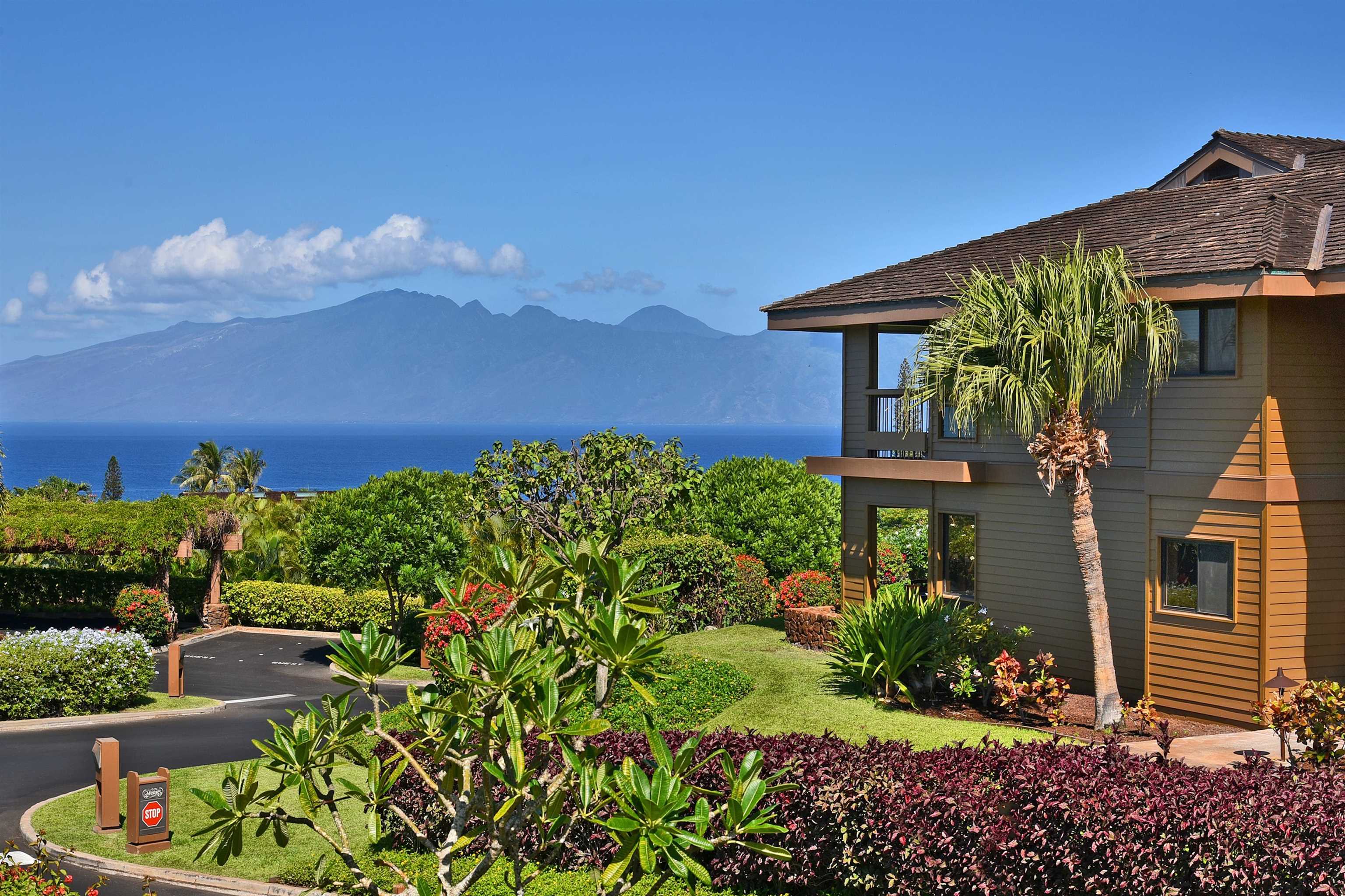 50 Puu Anoano St 4207