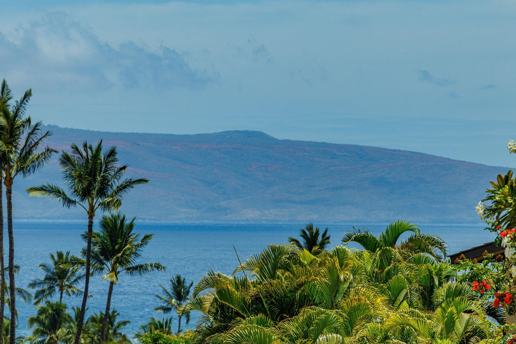 <p><b>Shop For New Homes in Maui</b></p>
