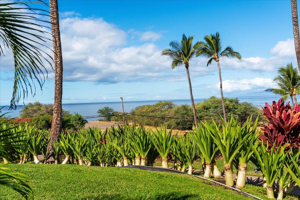 This Week's Maui Open Houses