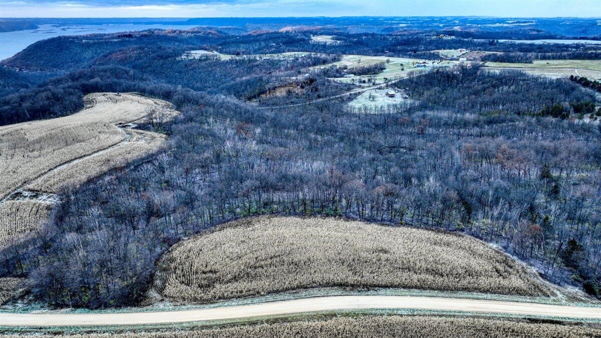 LOT 3 LUCKY LANE, EASTMAN, Wisconsin 54626, ,Land,For Sale,LOT 3 LUCKY LANE,MM1900112