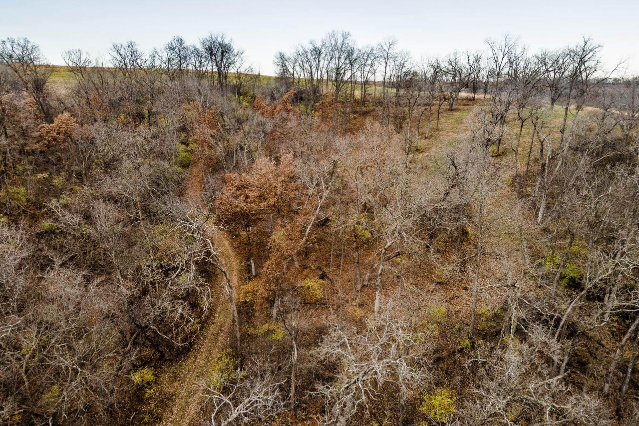 53040 MOROVITS HOLLOW ROAD, WAUZEKA, Wisconsin 53826, ,Land,For Sale,53040 MOROVITS HOLLOW ROAD,MM1900209