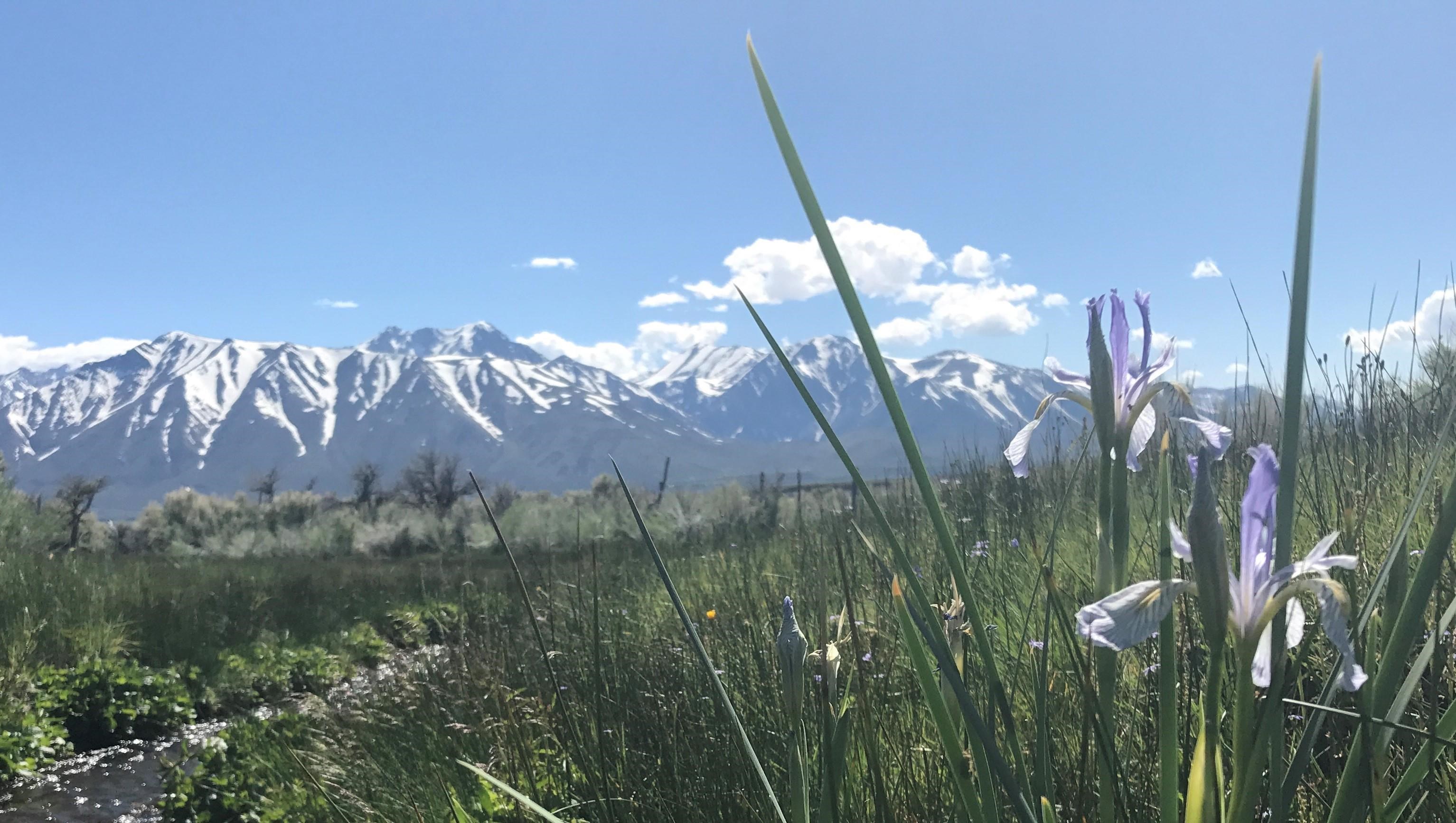 Benton Crossing Road, Crowley Lake, CA 93546