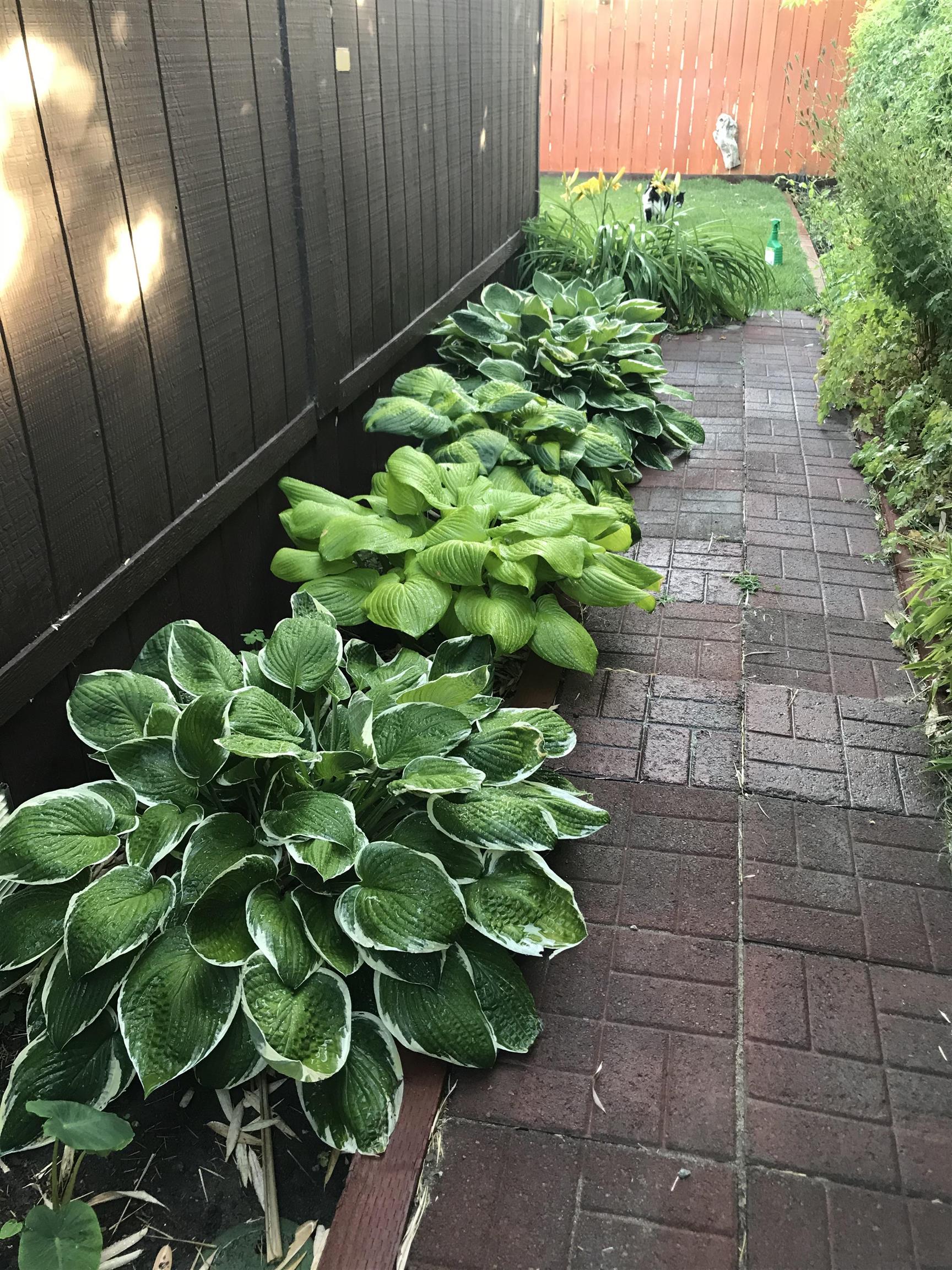 Property Photo 30