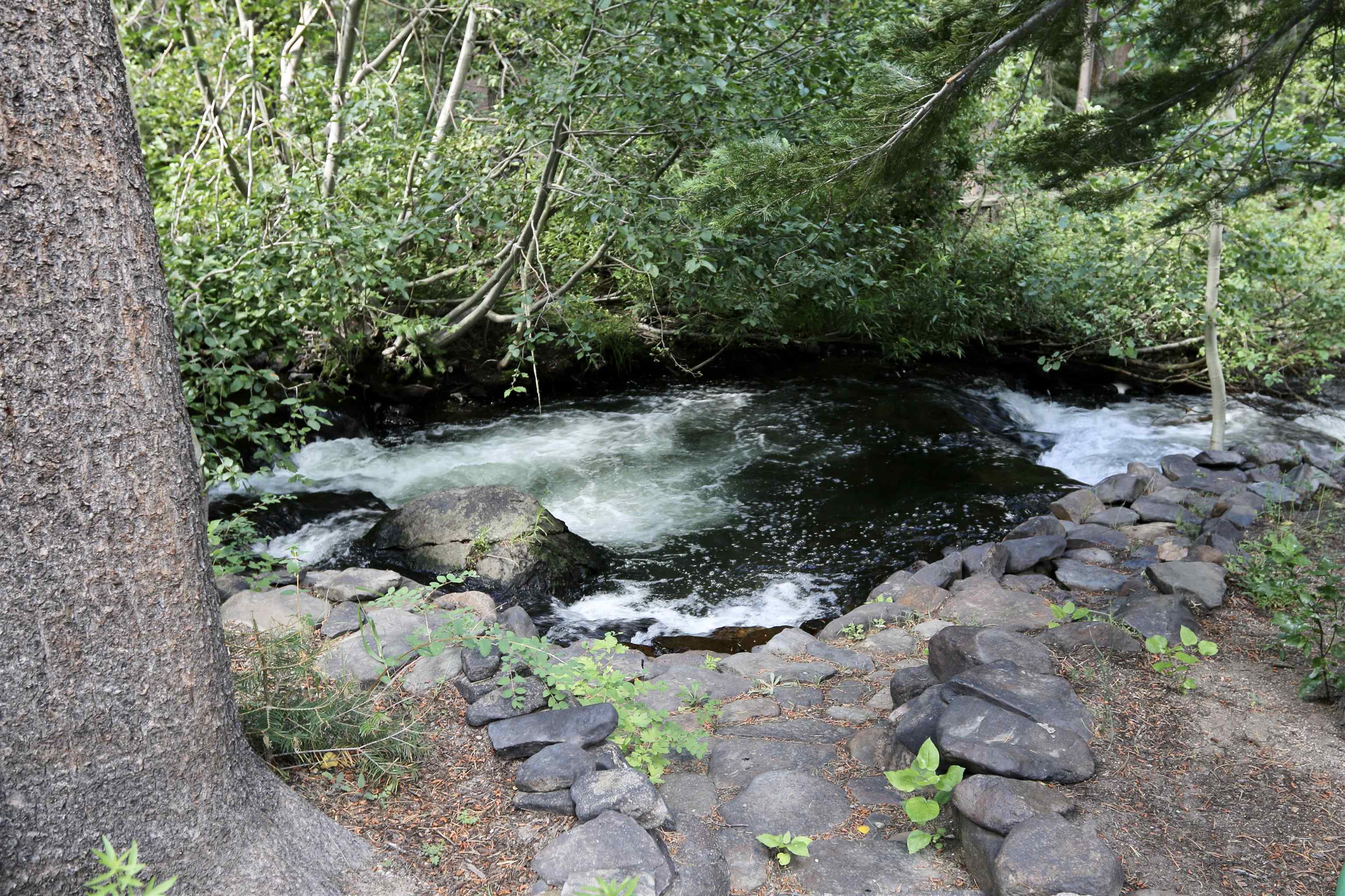 Property Photo 48