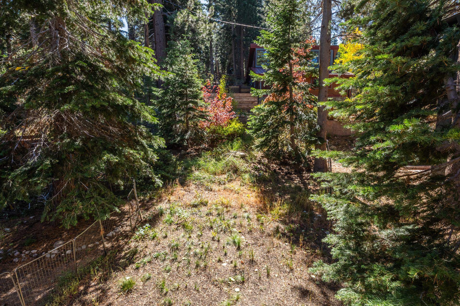 Property Photo 41