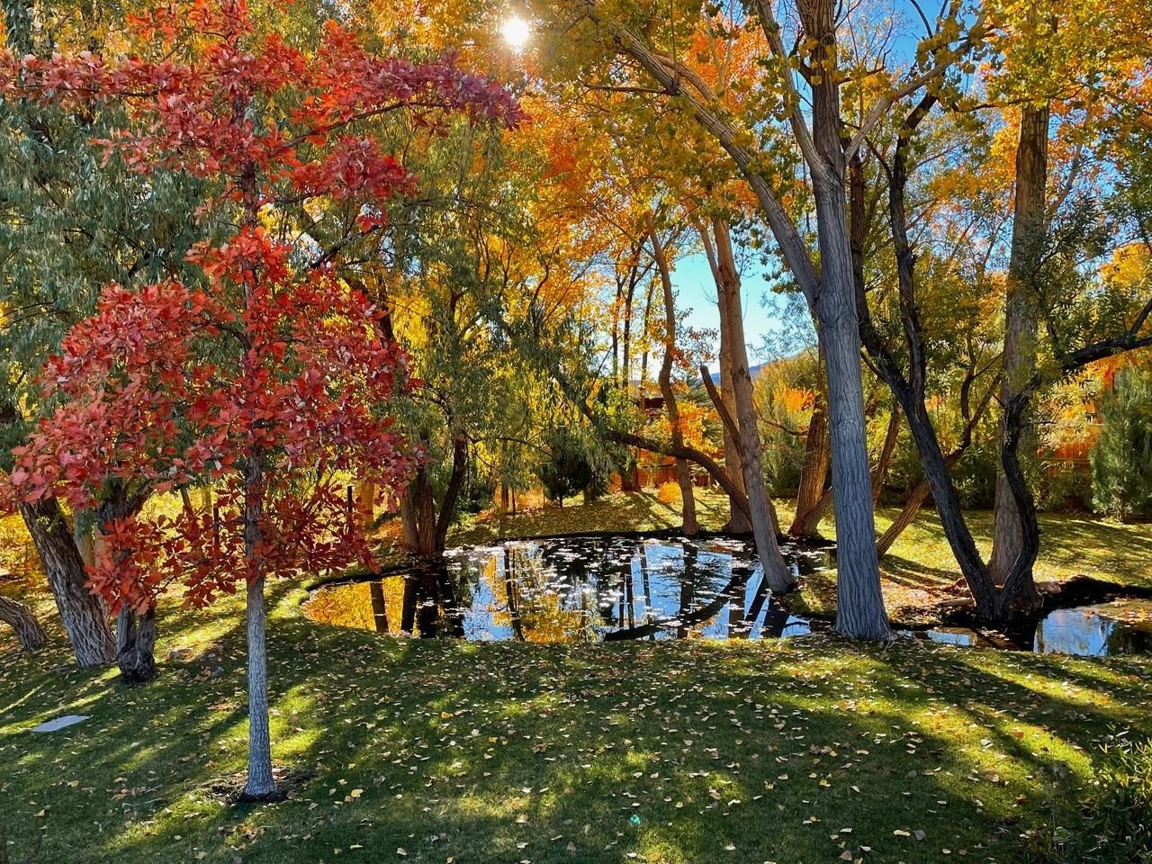 Property Photo 49
