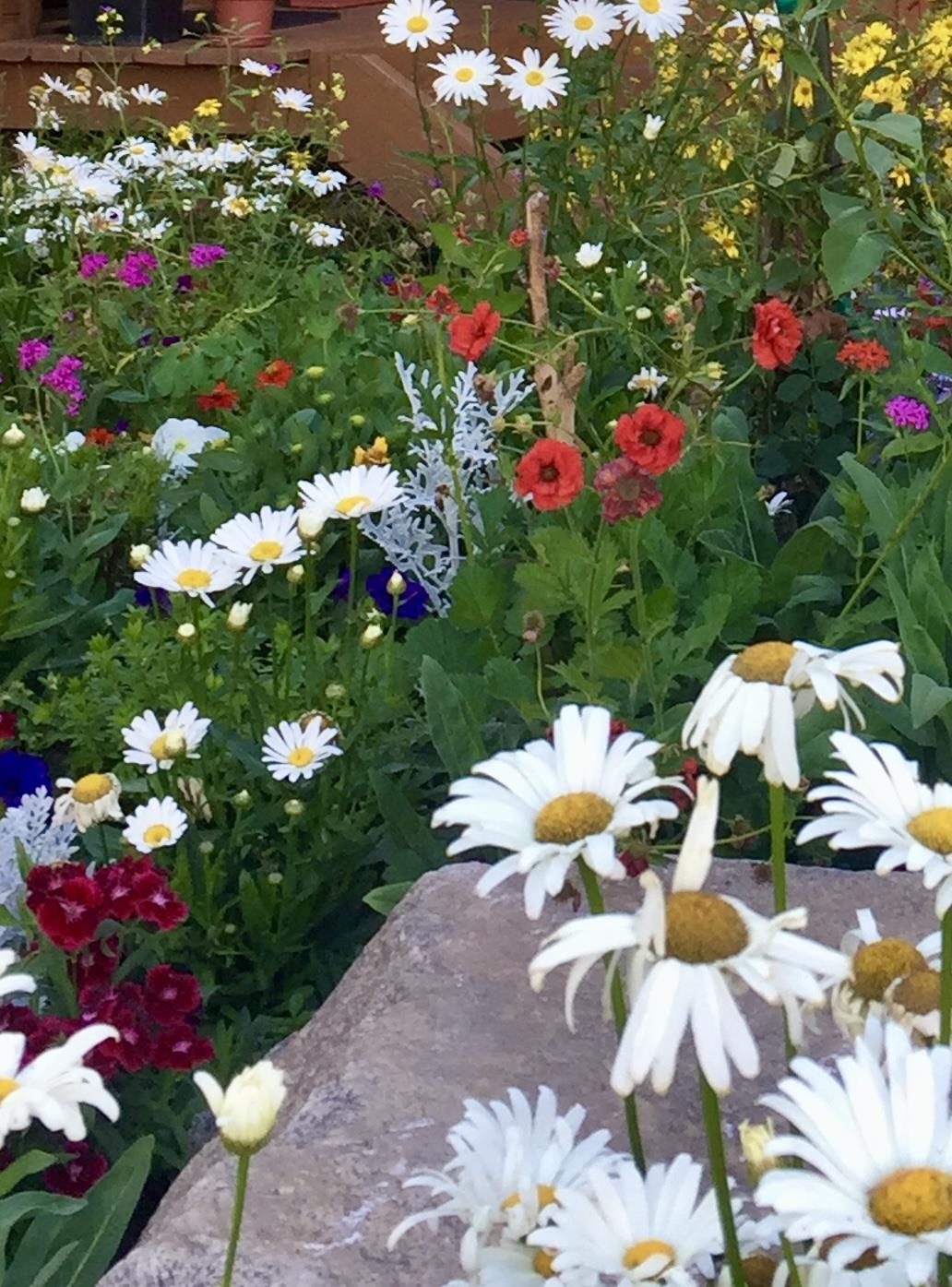 Property Photo 36