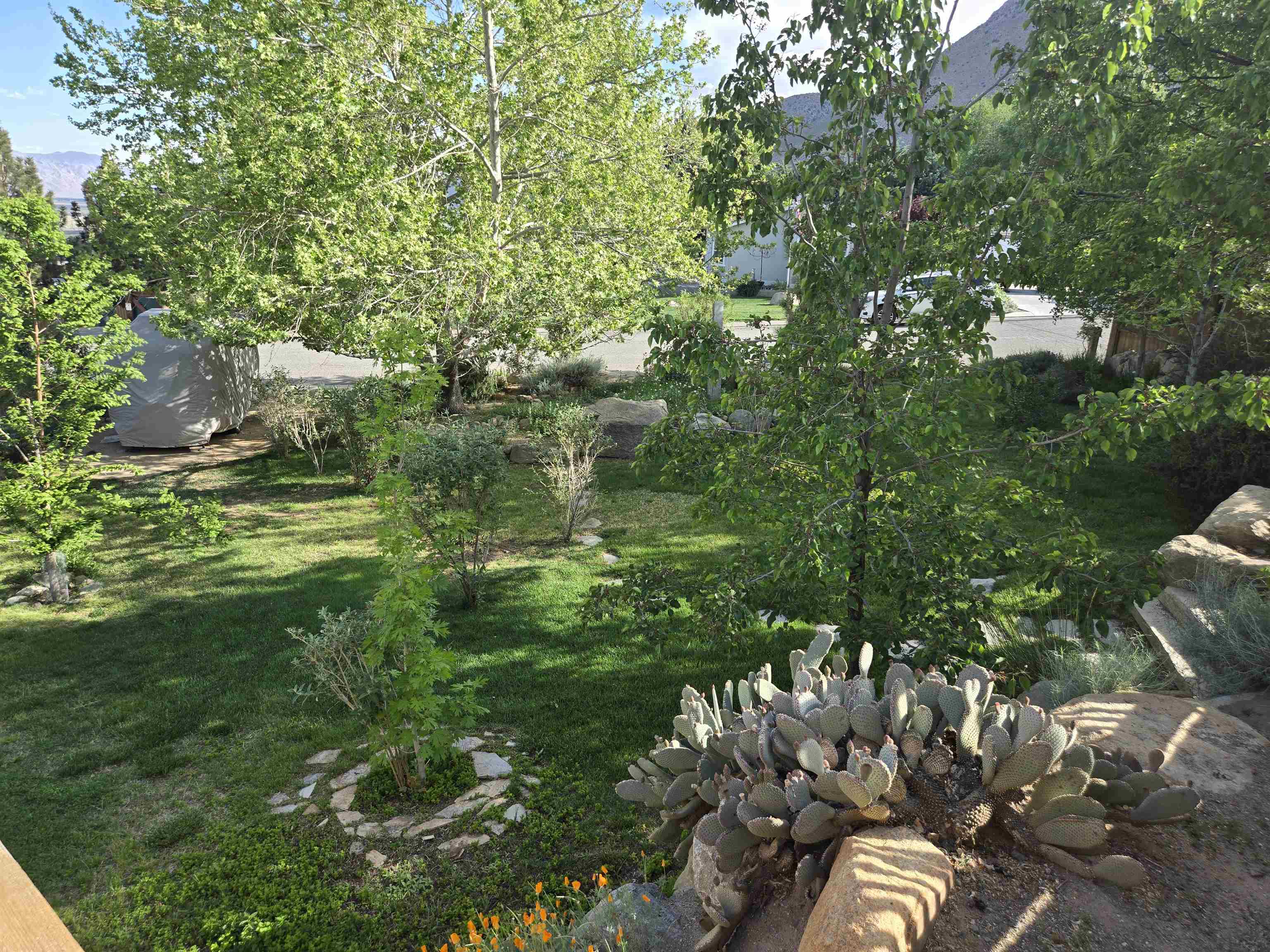 Property Photo 28