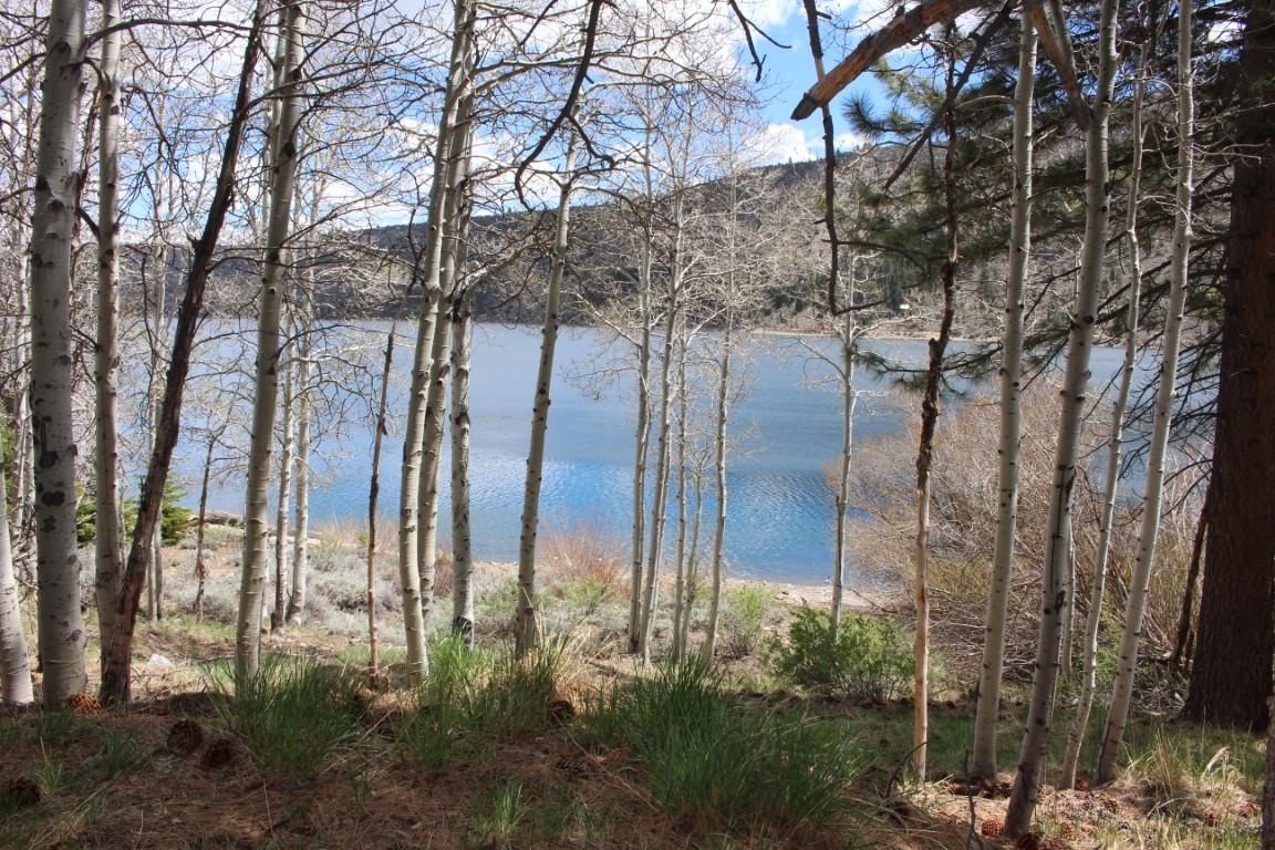 Property Photo 24