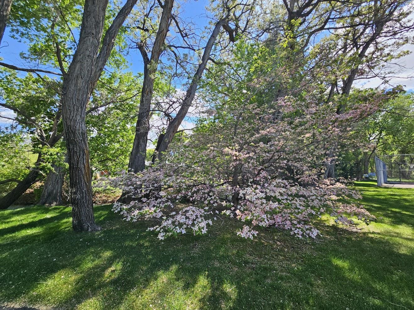 Property Photo 49