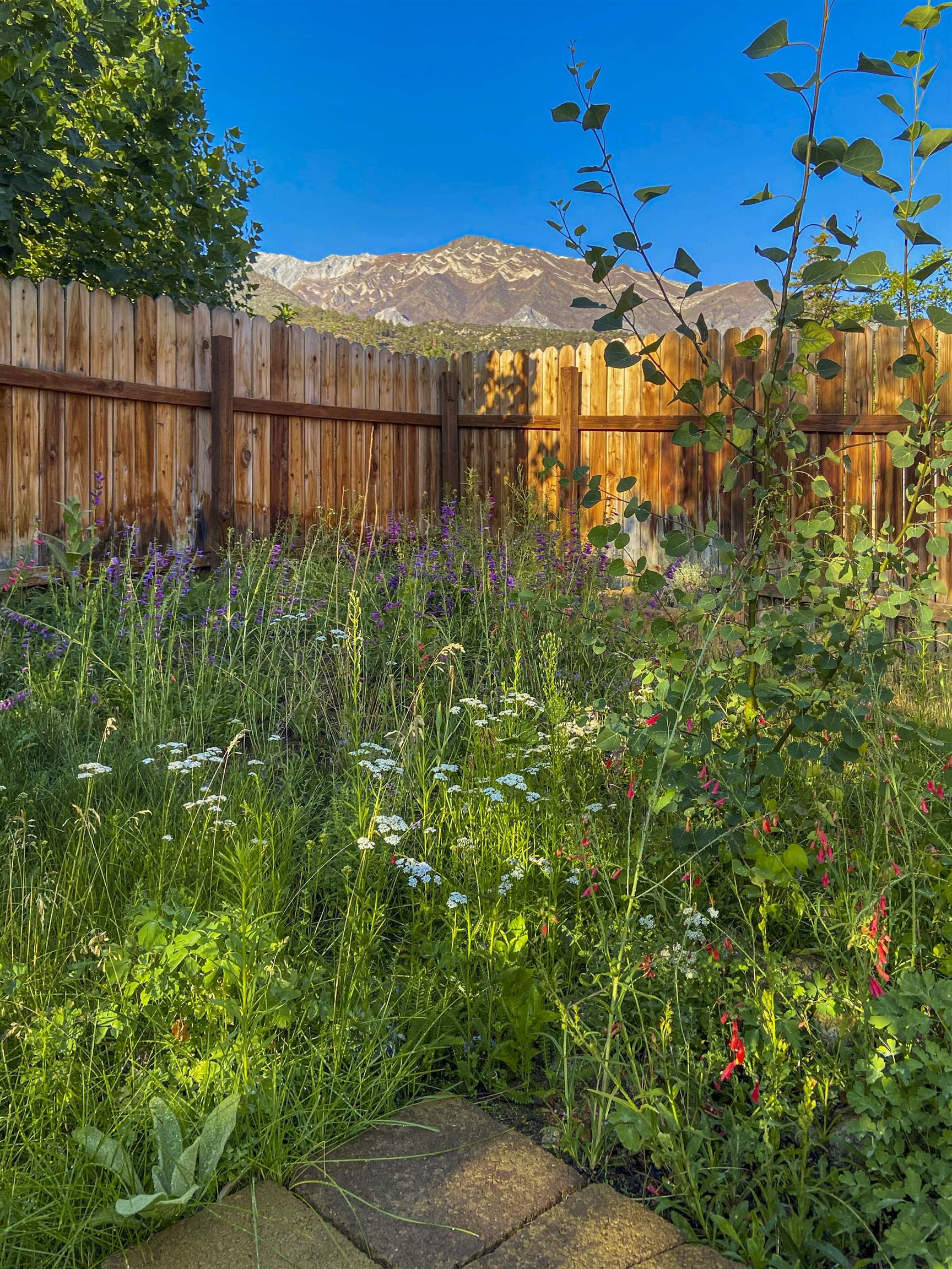 Property Photo 44