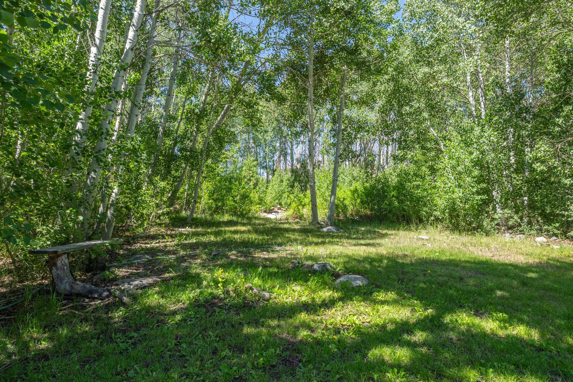 Property Photo 42