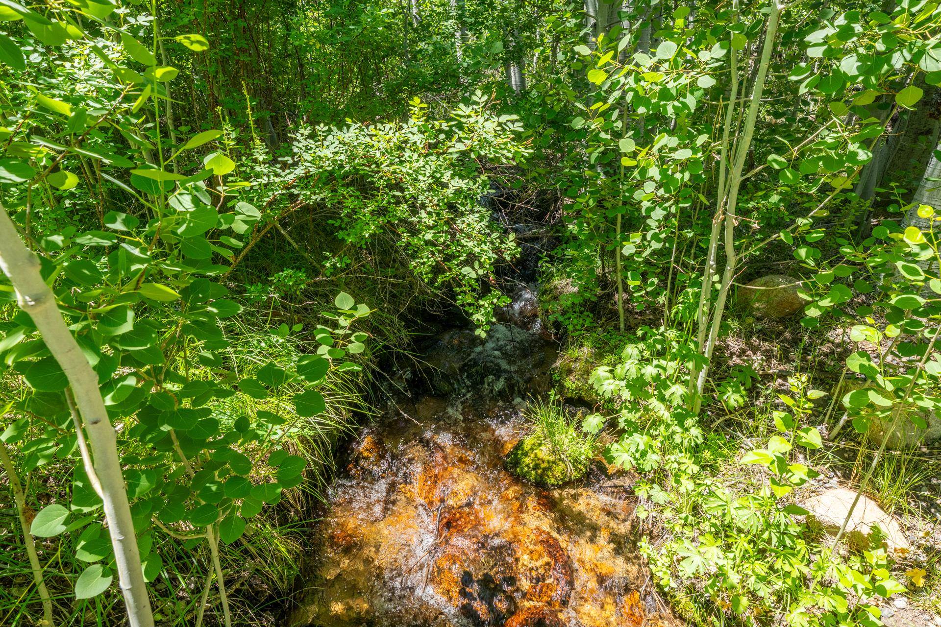Property Photo 44
