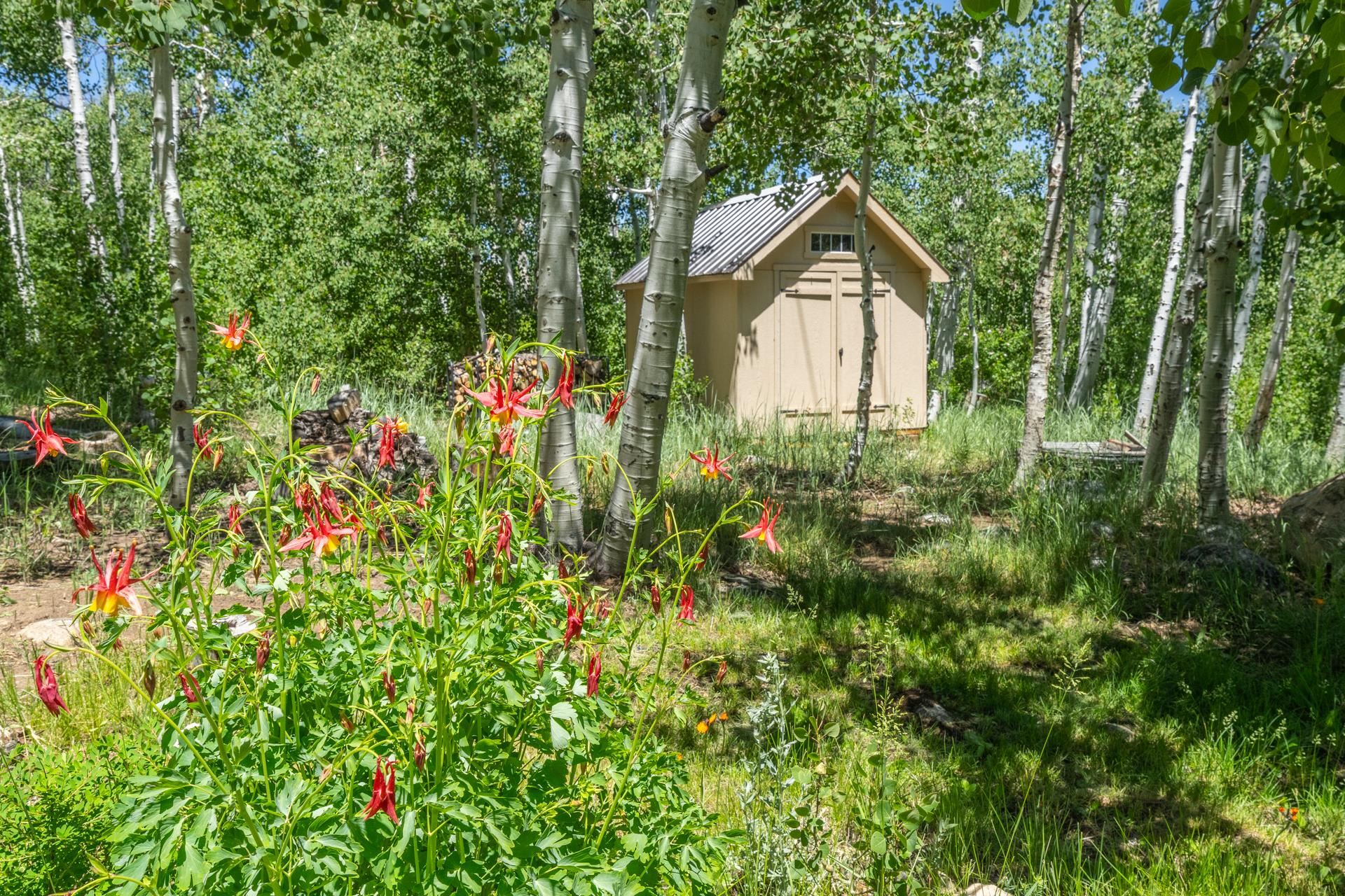 Property Photo 45