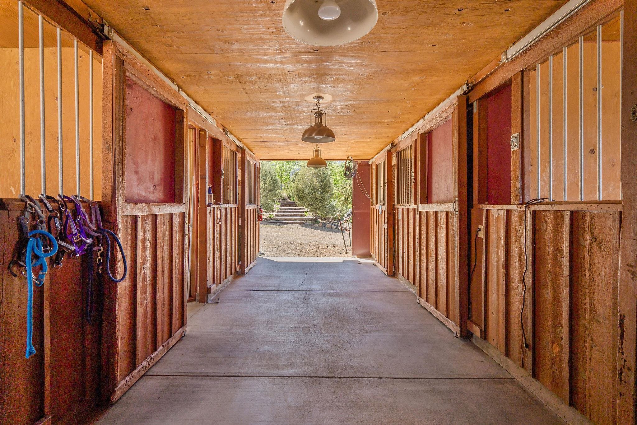 Property Photo 43