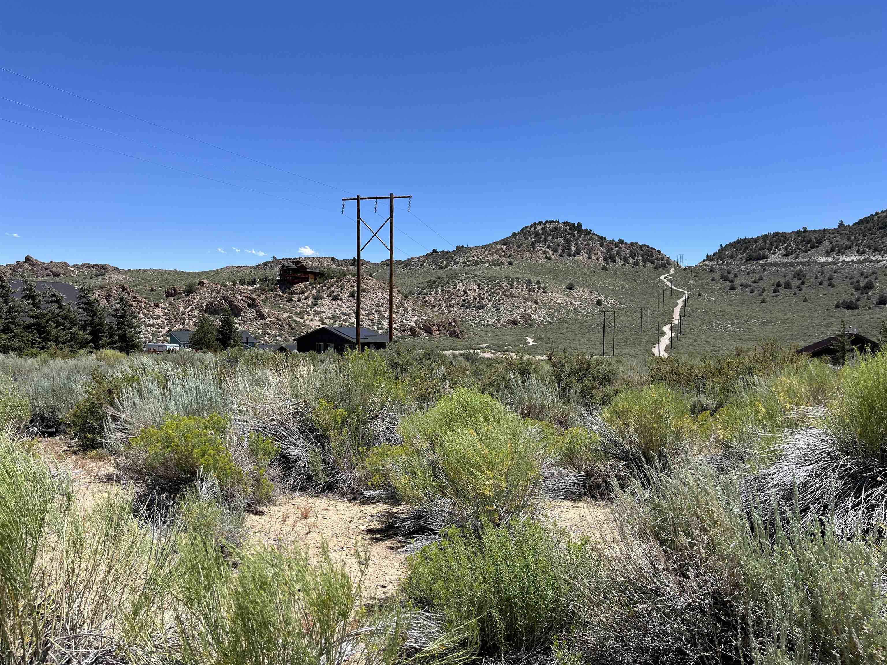 118 Larkspur Lane
