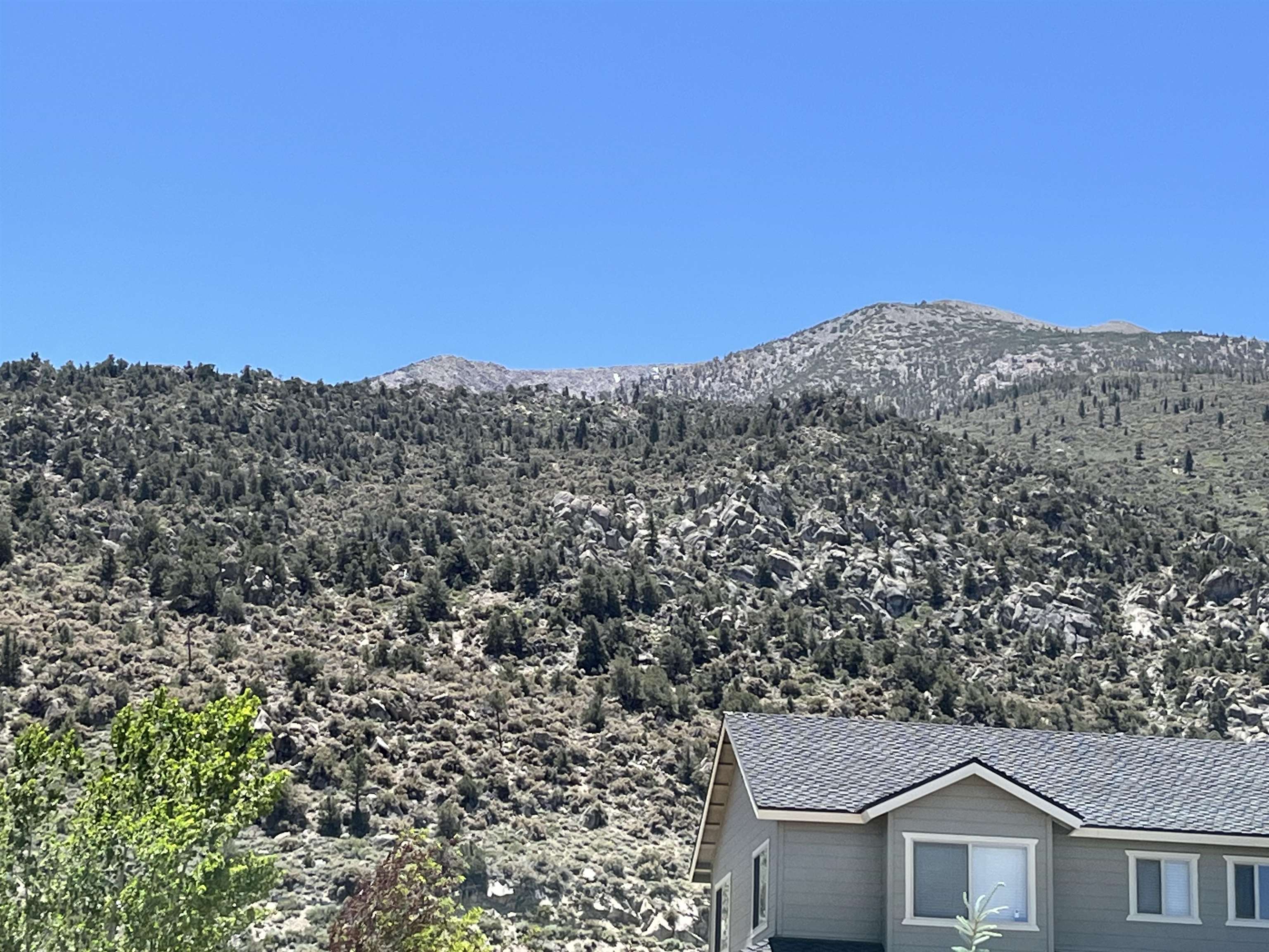 118 Larkspur Lane