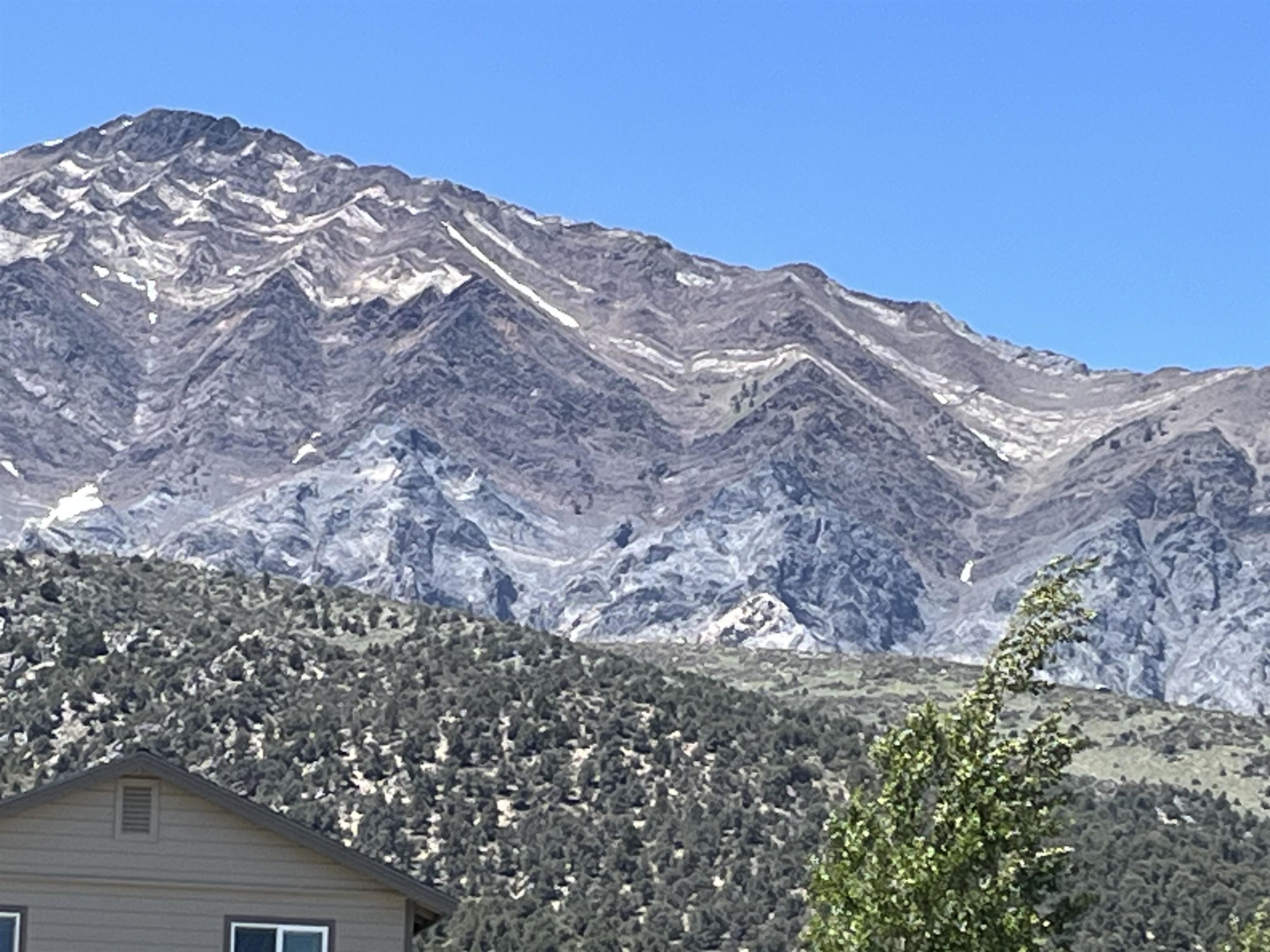 118 Larkspur Lane