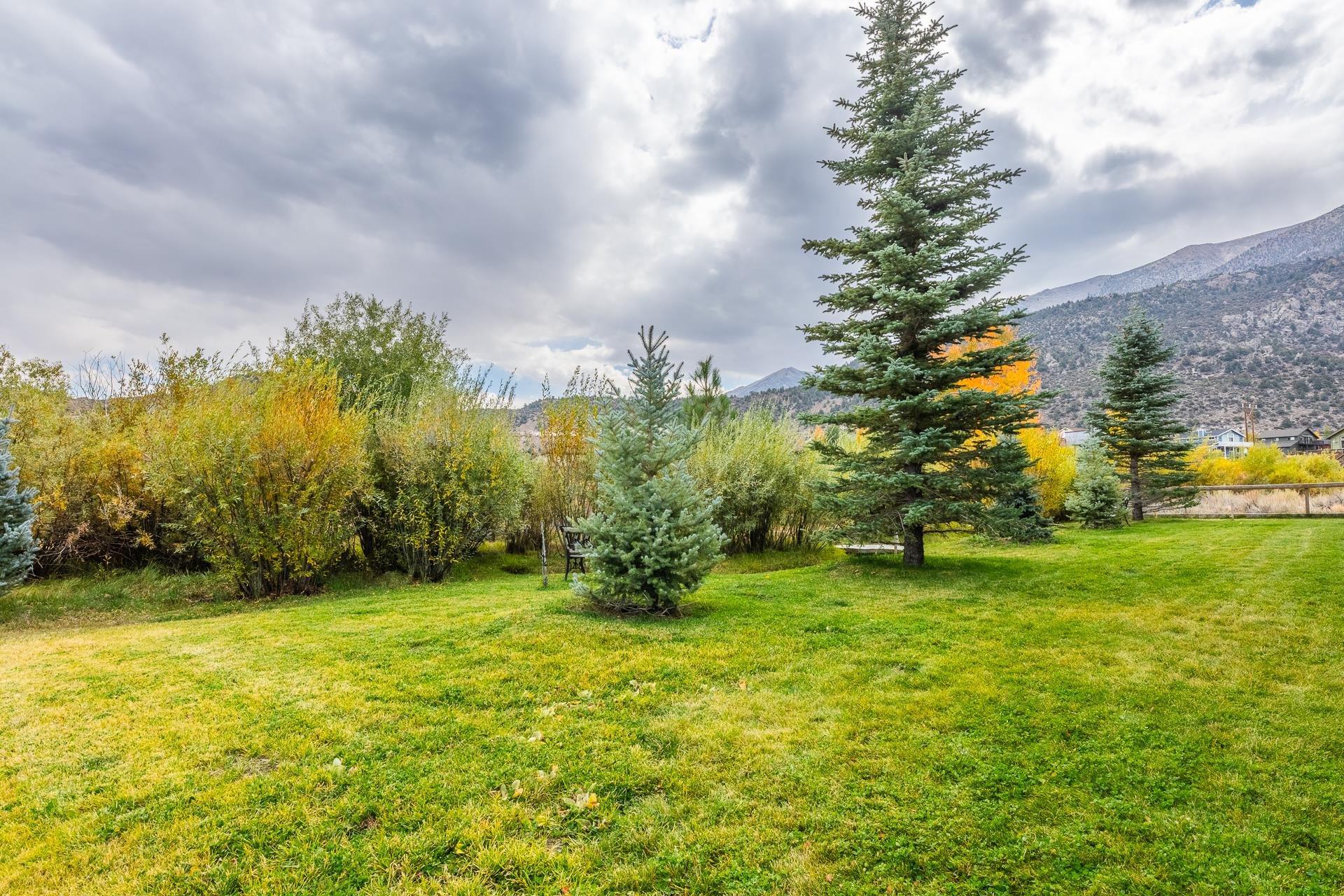 Property Photo 46