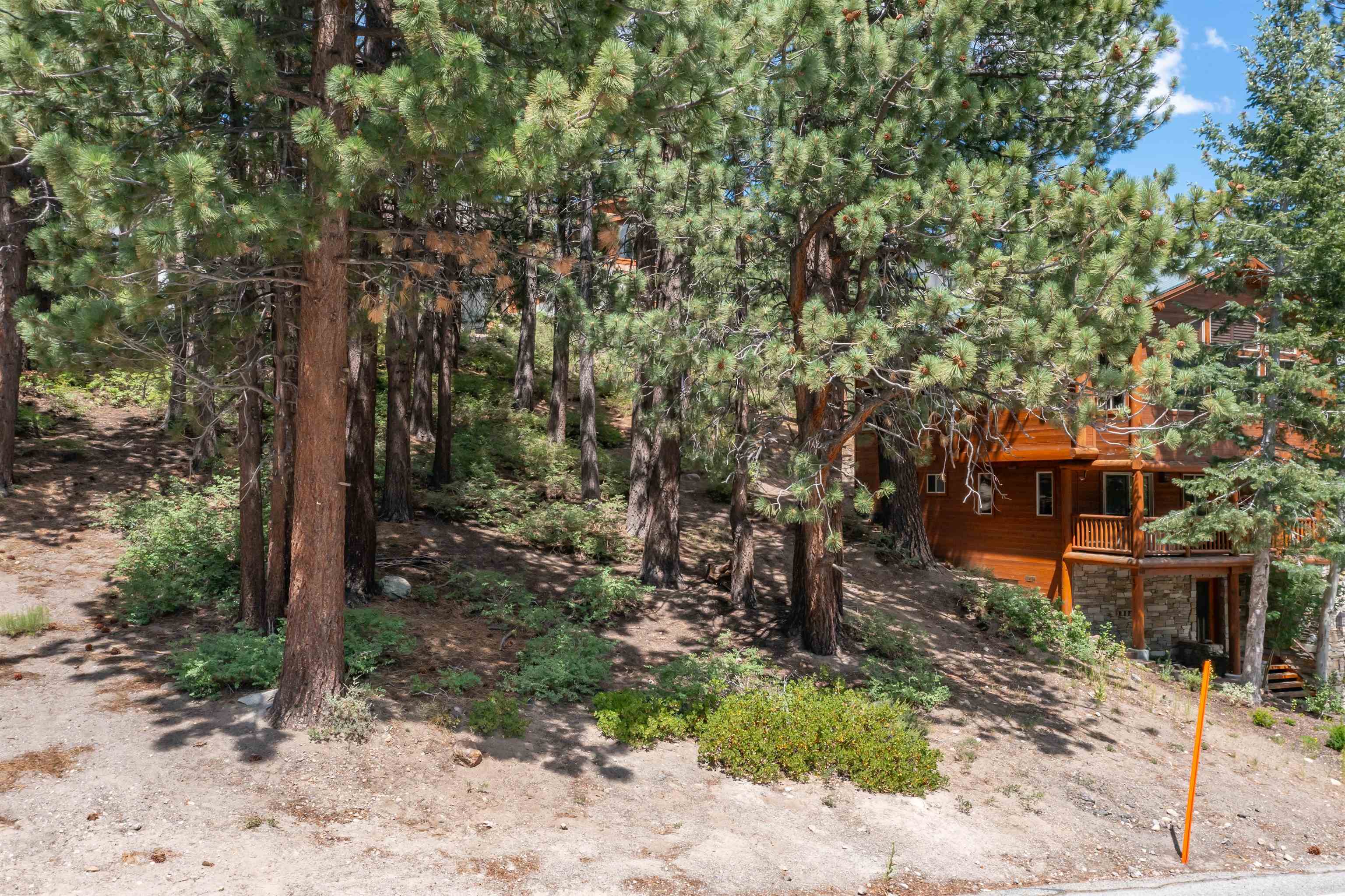 622 Majestic Pines Drive
