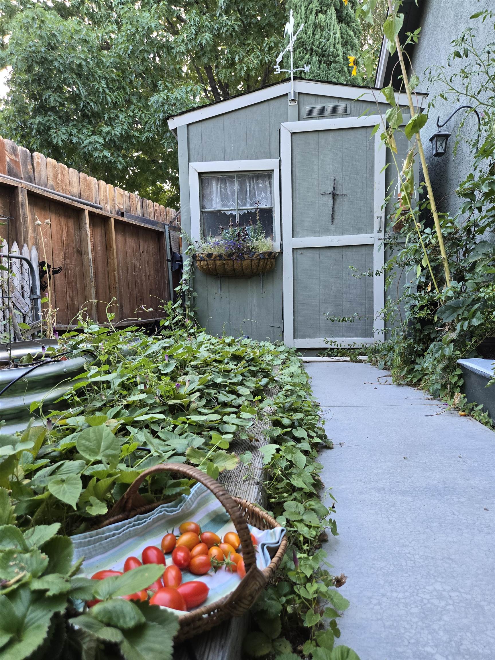 Property Photo 25