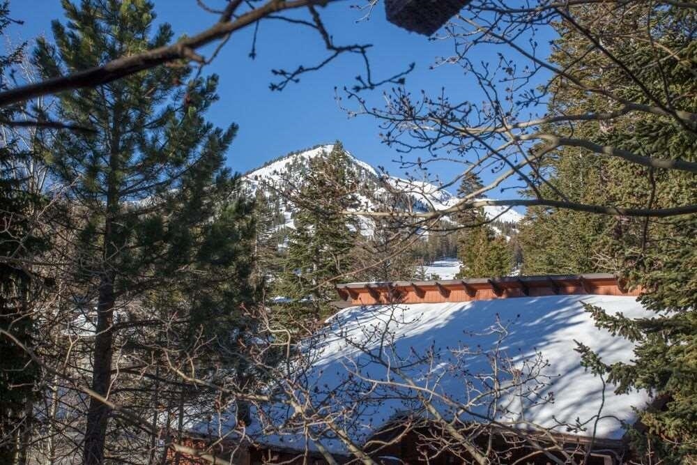 808 Canyon Boulevard