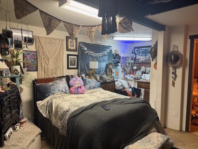 Property Photo 49