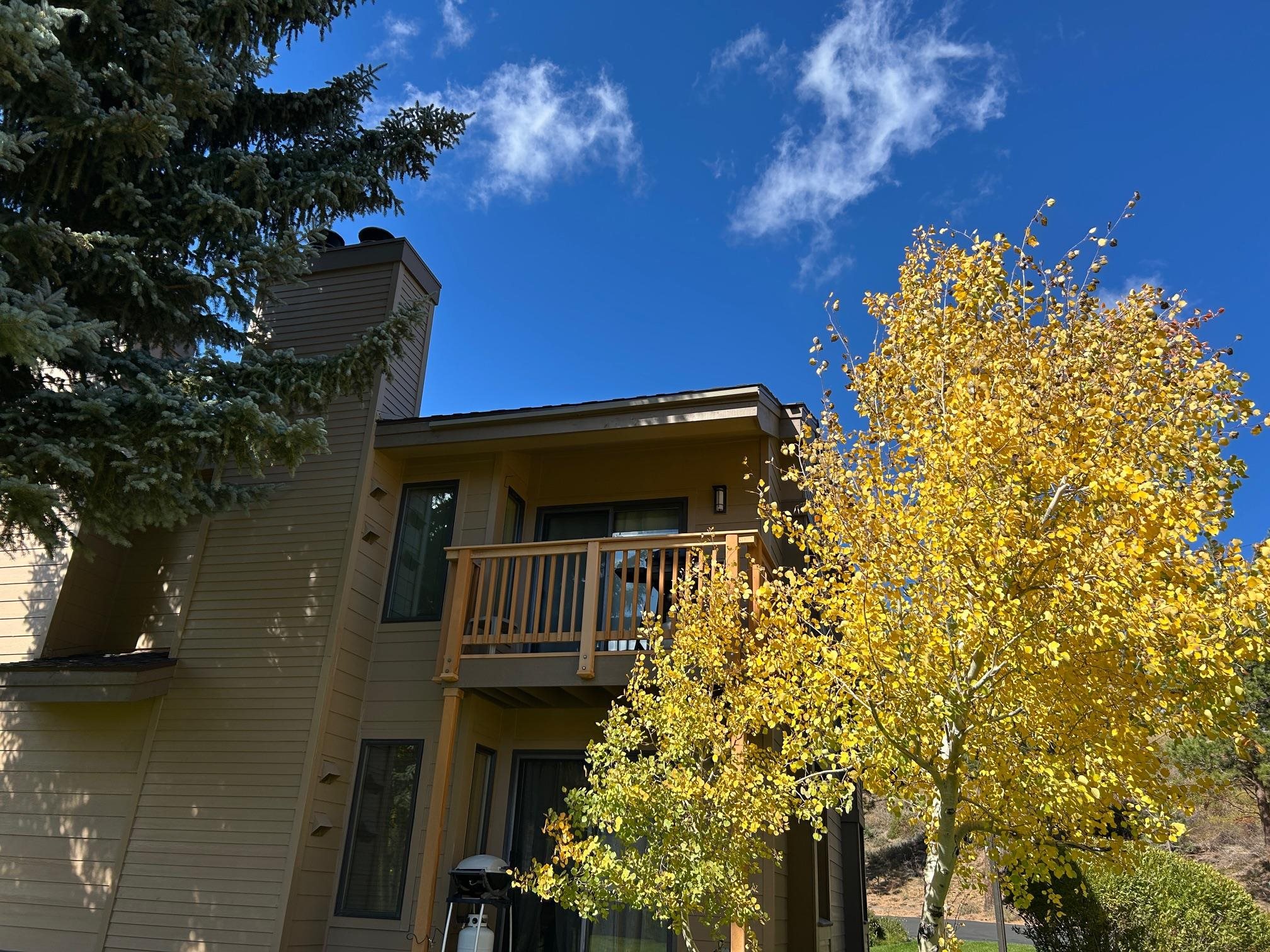 Property Photo 27