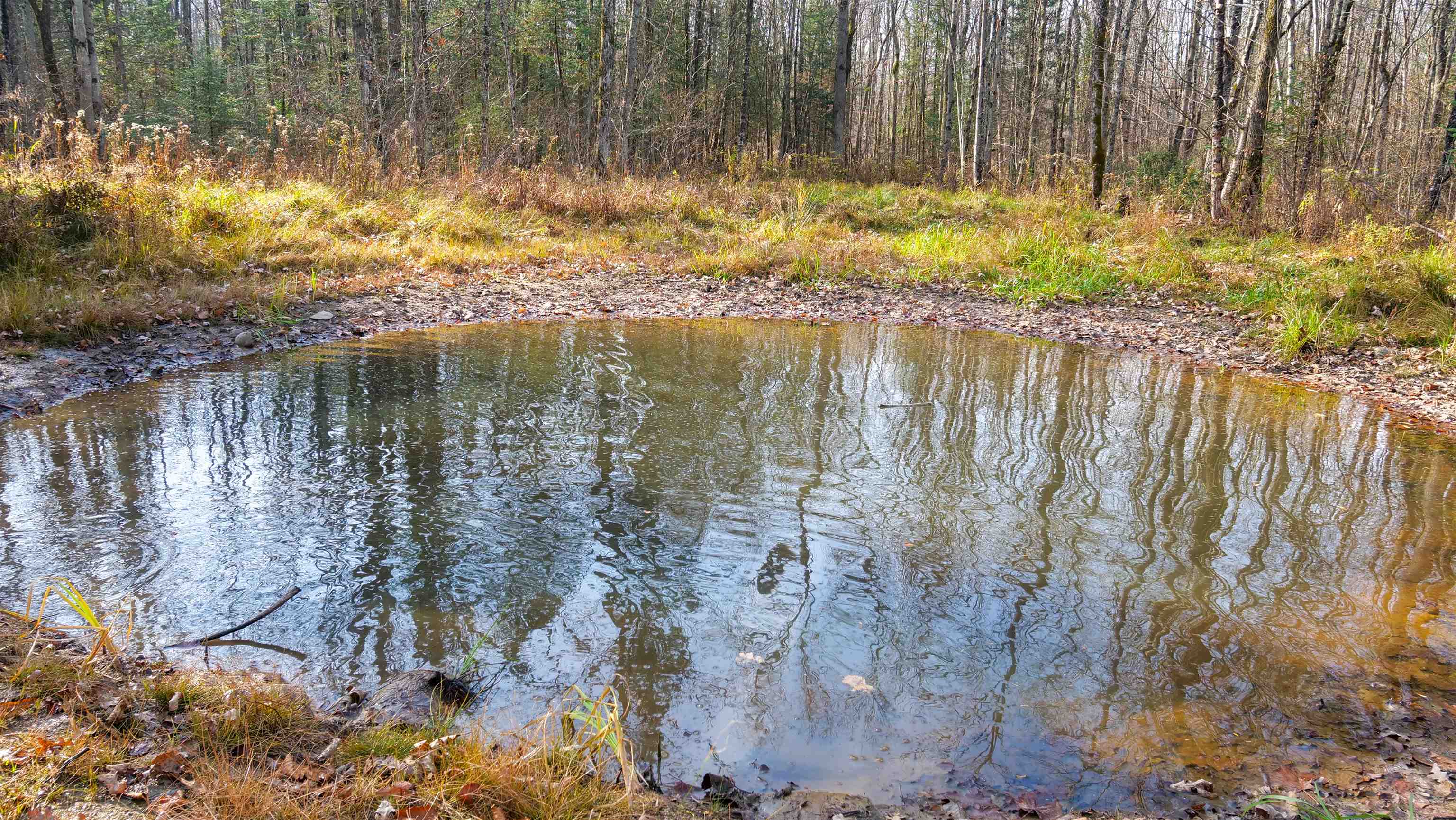 PORCUPINE ROAD, Wausau, Wisconsin 54403, ,Land,For Sale,PORCUPINE ROAD,NE50301203