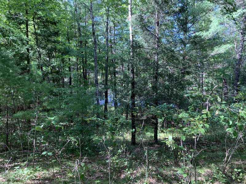 Vacant Land for sale in Dunbar, Wisconsin, 50219320