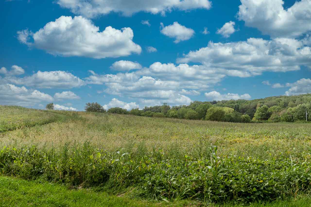 Dreaming of a rural retreat with gently rolling hills and endless blue skies close to Madison? A peaceful place to put down roots and build your long-awaited dream home with no HOA dictating the design? Then this 2.75 acres of rolling hills in southwest Dane County is your dream come true. The topography allows for several wonderful building sites with lower level exposure possibilities. This lot will be ready for your building to begin in a few short months after completion of the pending Town/County CSM approval. That’s plenty of time to create your tranquil, private country home exactly the way you want it. Dream big—the possibilities are endless!