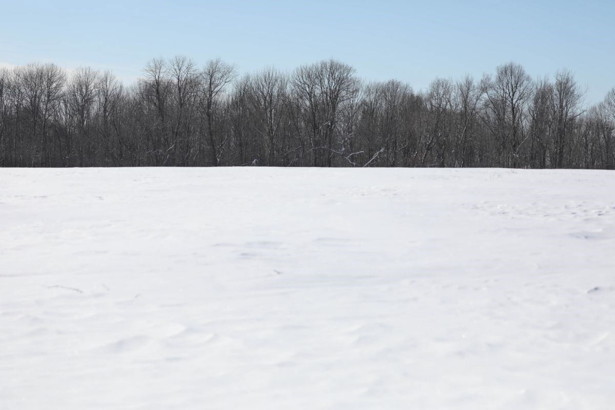 Land for sale in Westford, Wisconsin, 1902024